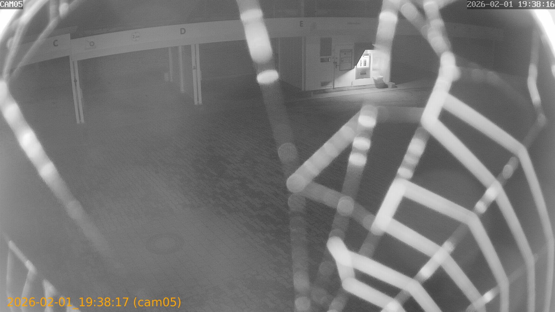 thumbnail_20260201193817