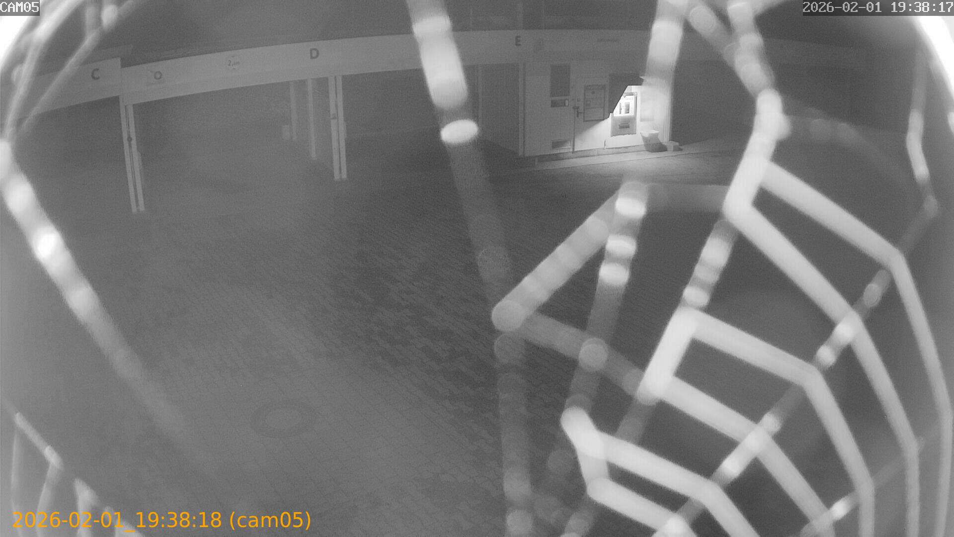 thumbnail_20260201193818