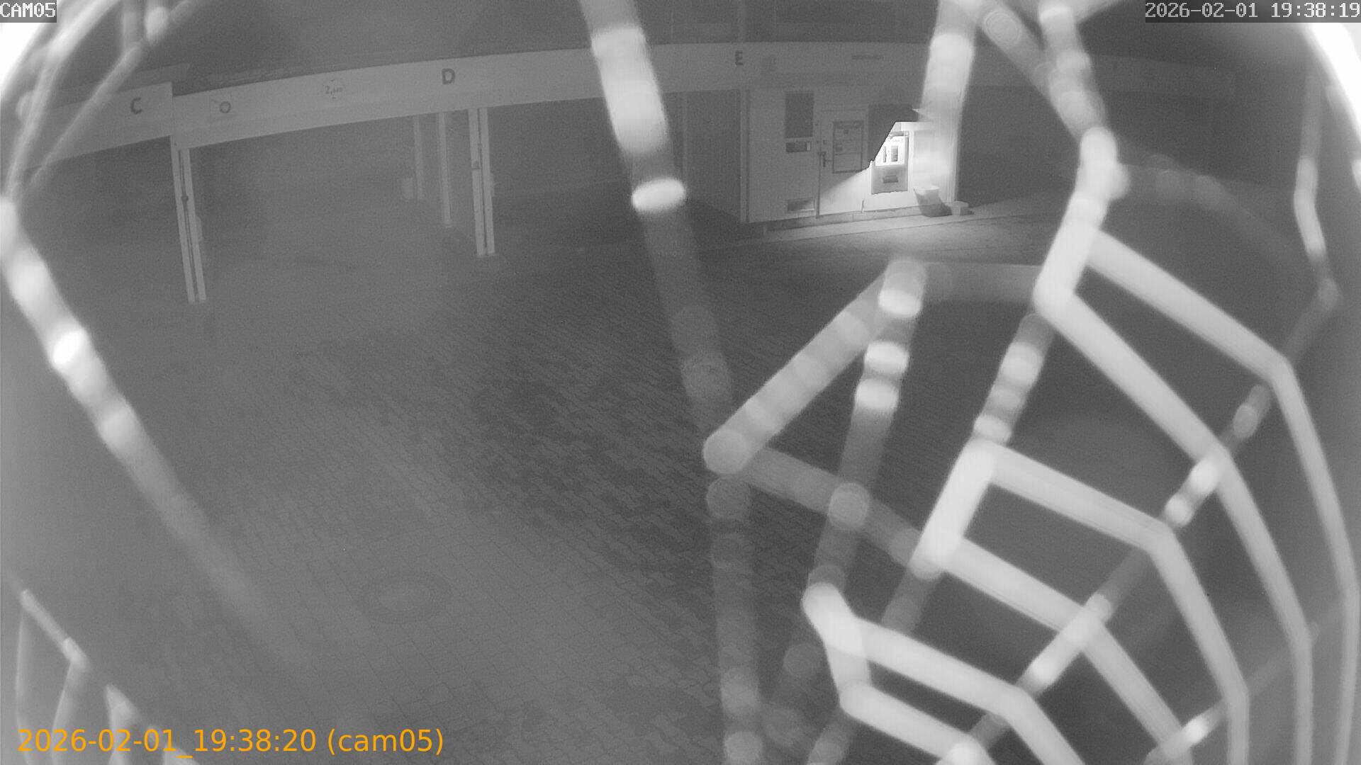 thumbnail_20260201193820