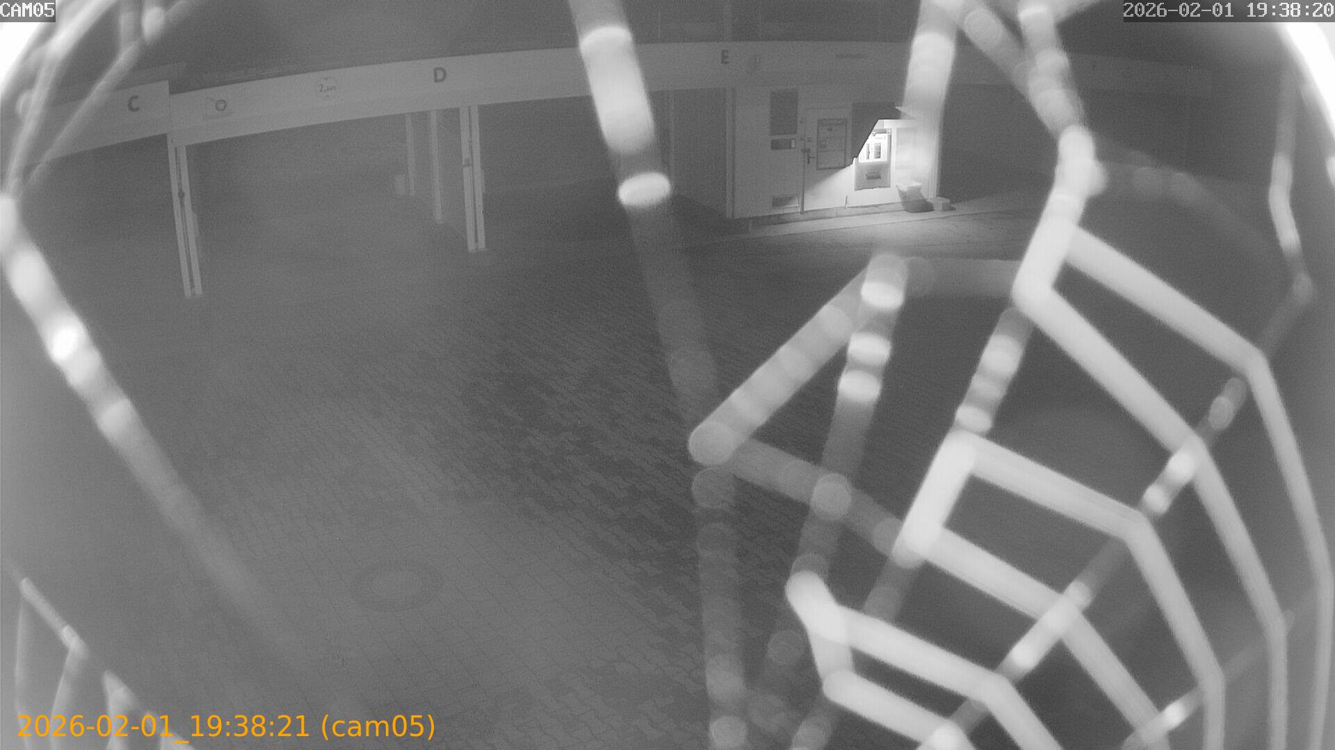 thumbnail_20260201193821