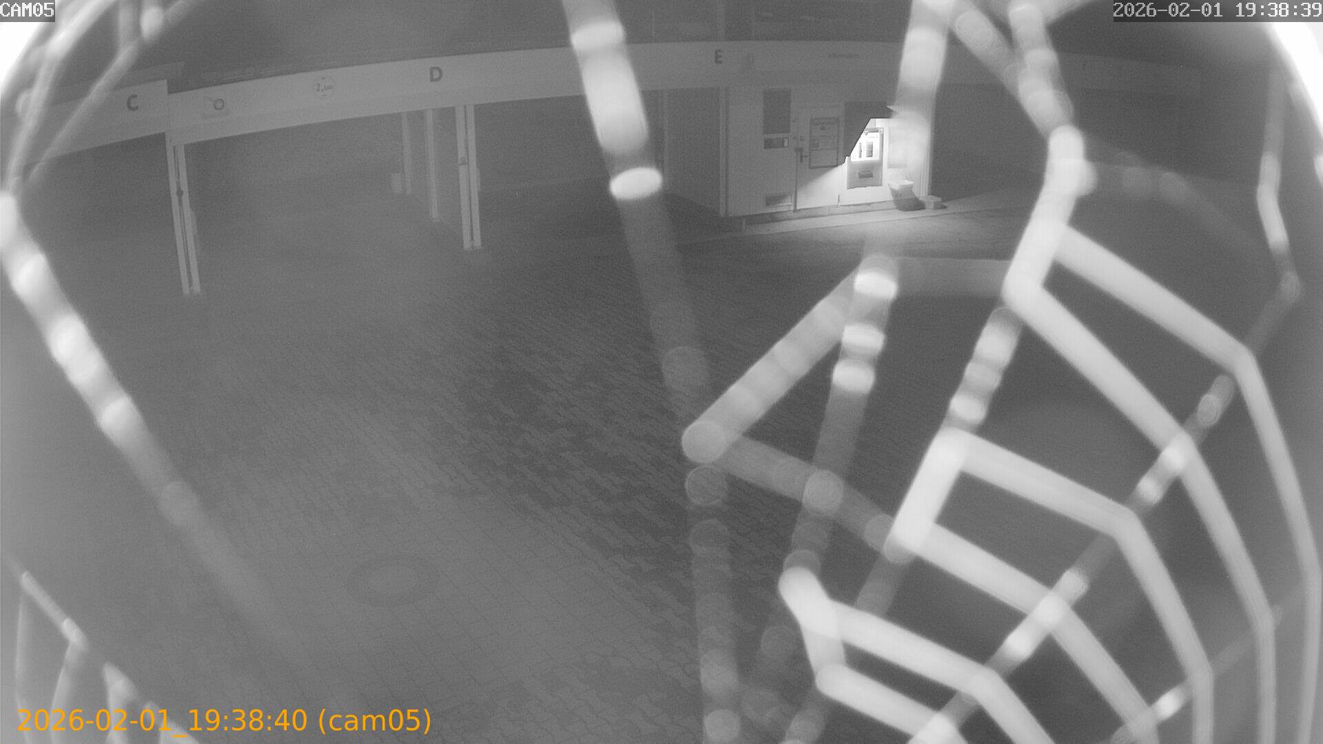 thumbnail_20260201193840