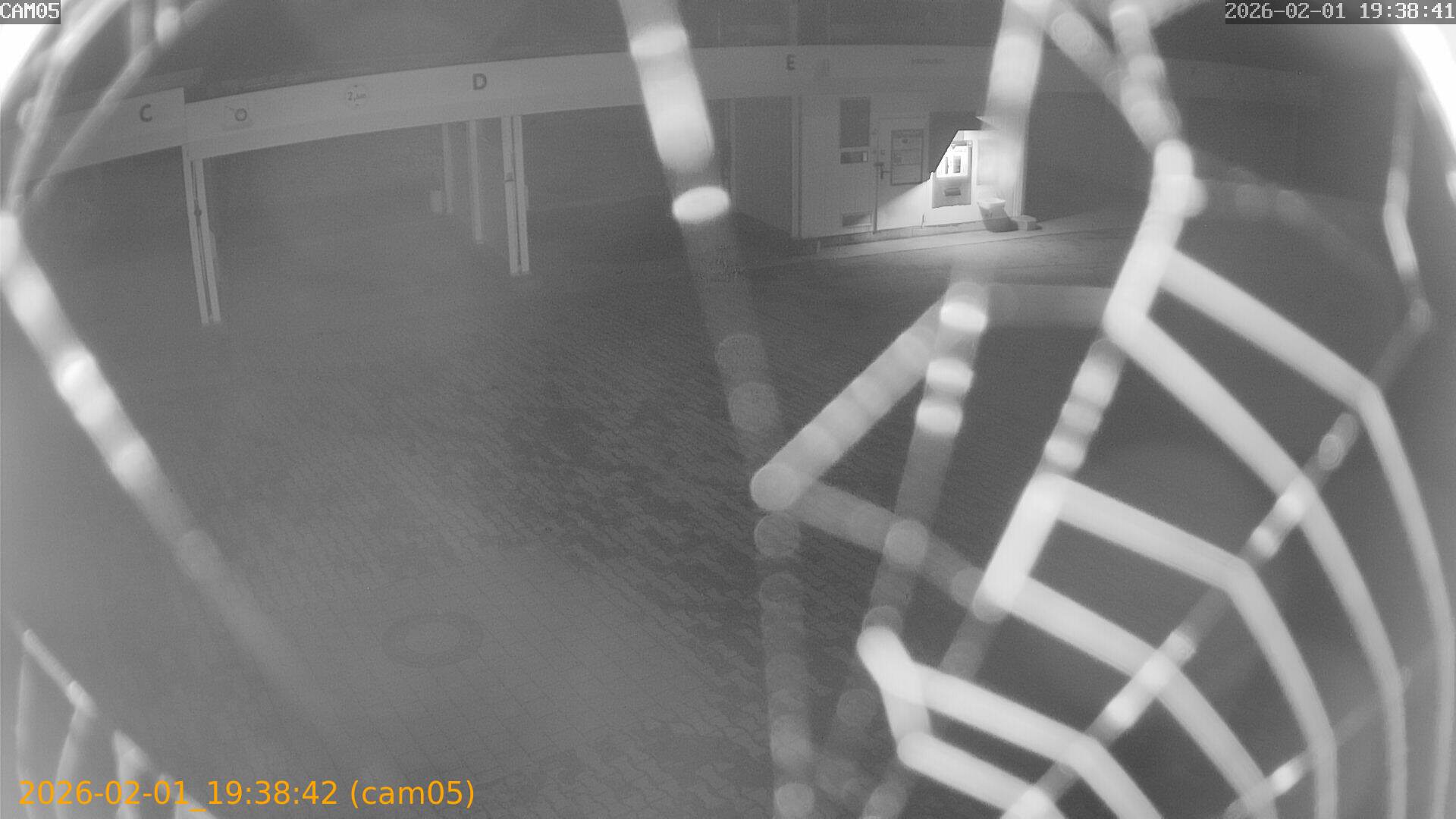 thumbnail_20260201193842