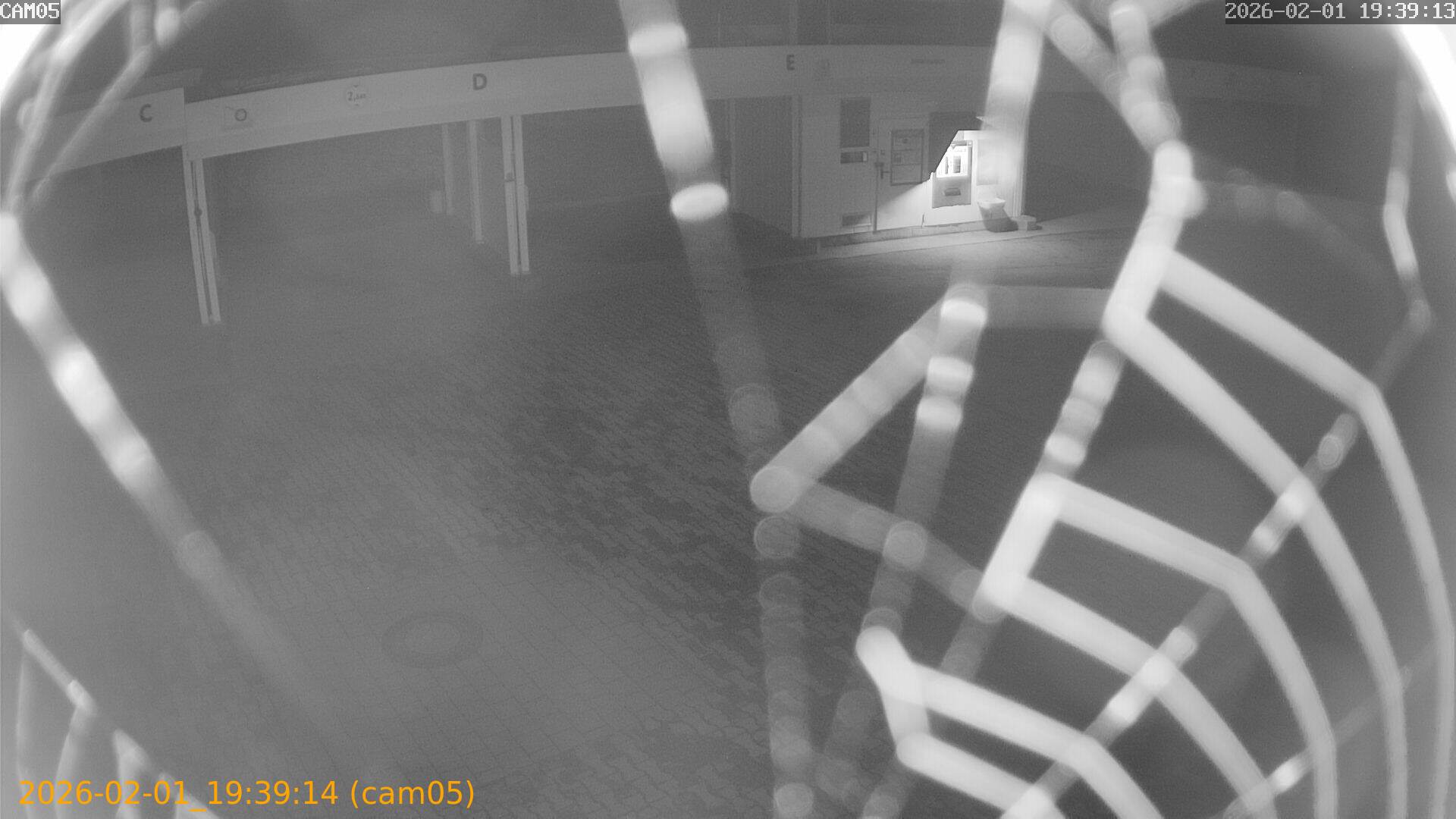 thumbnail_20260201193914