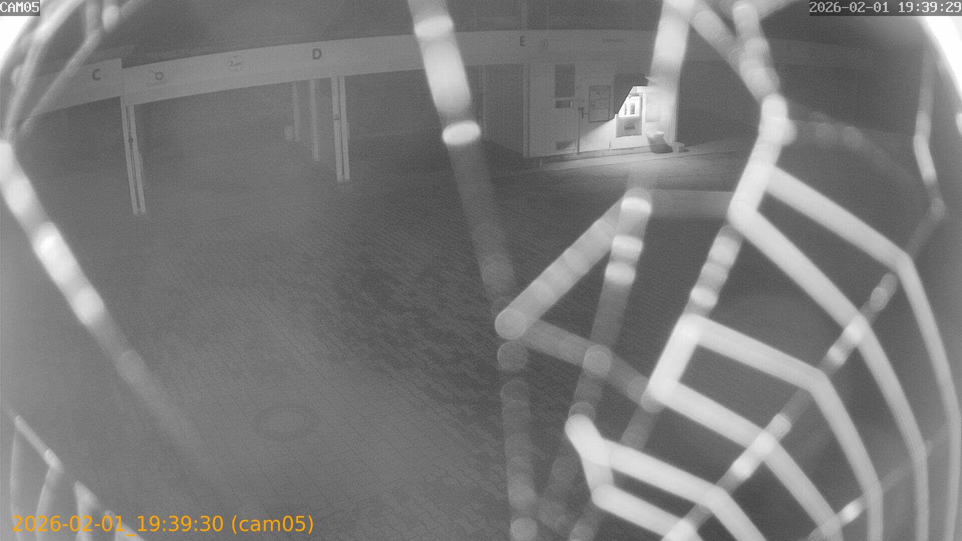 thumbnail_20260201193930