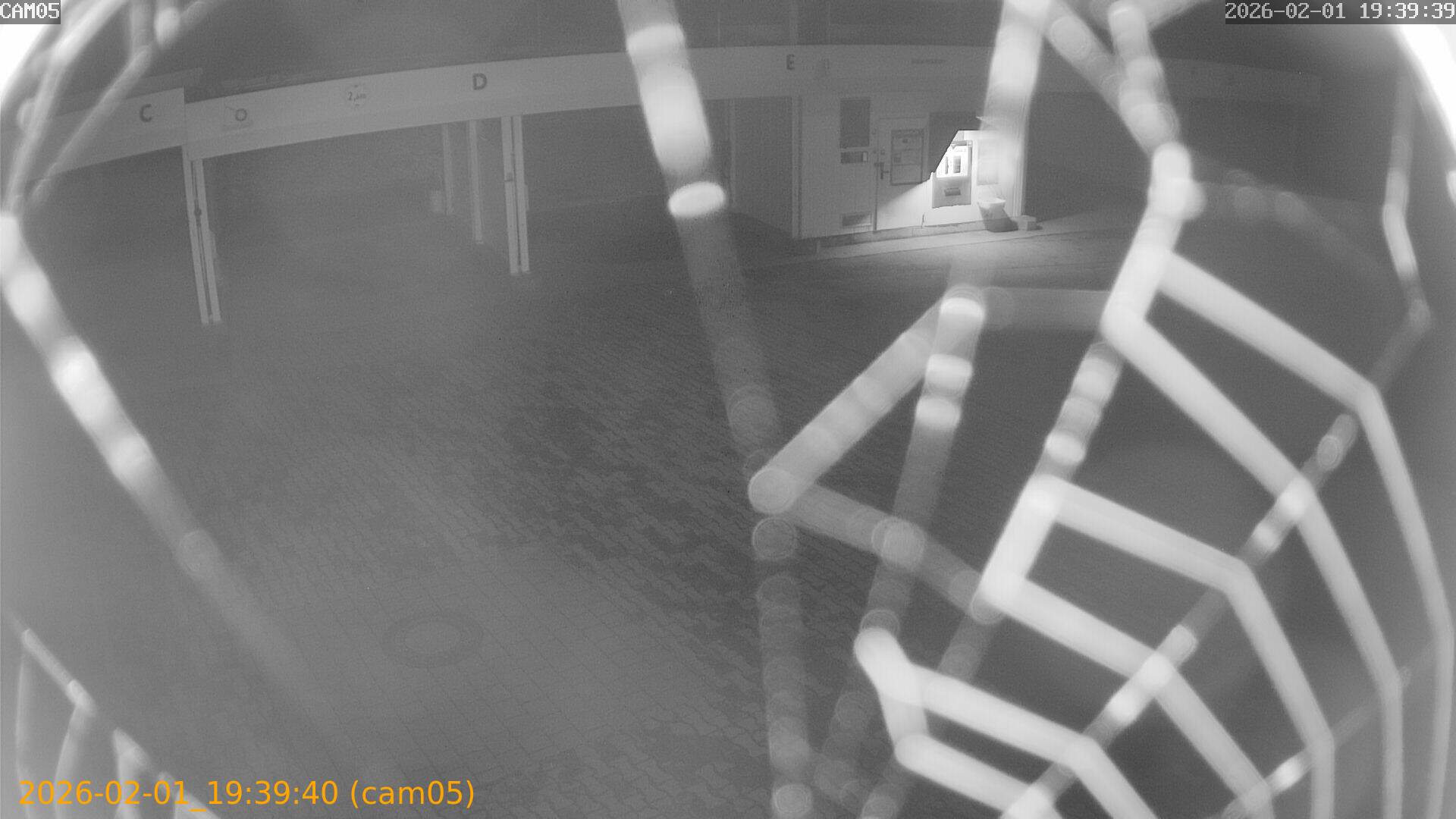 thumbnail_20260201193940