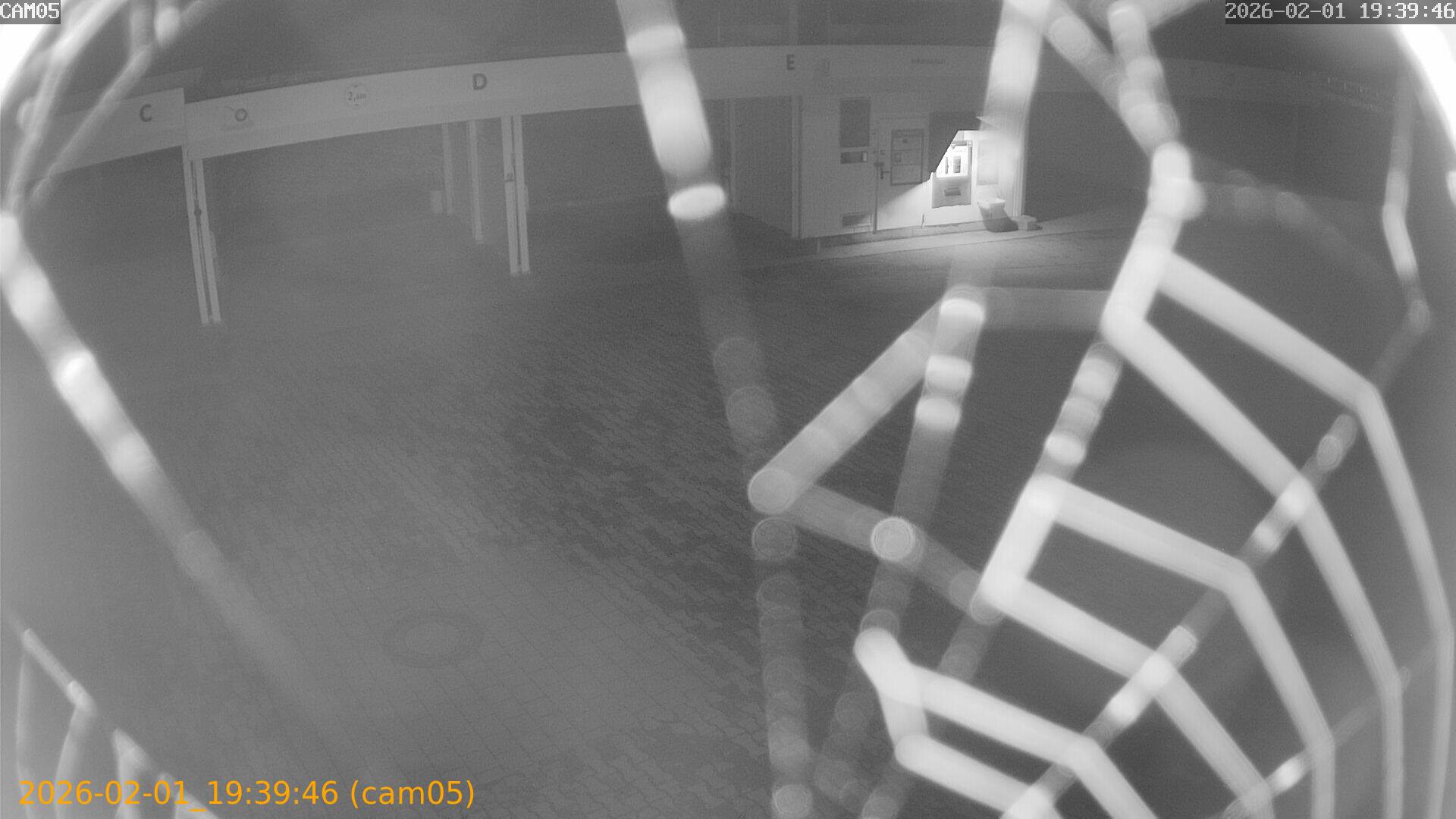 thumbnail_20260201193946