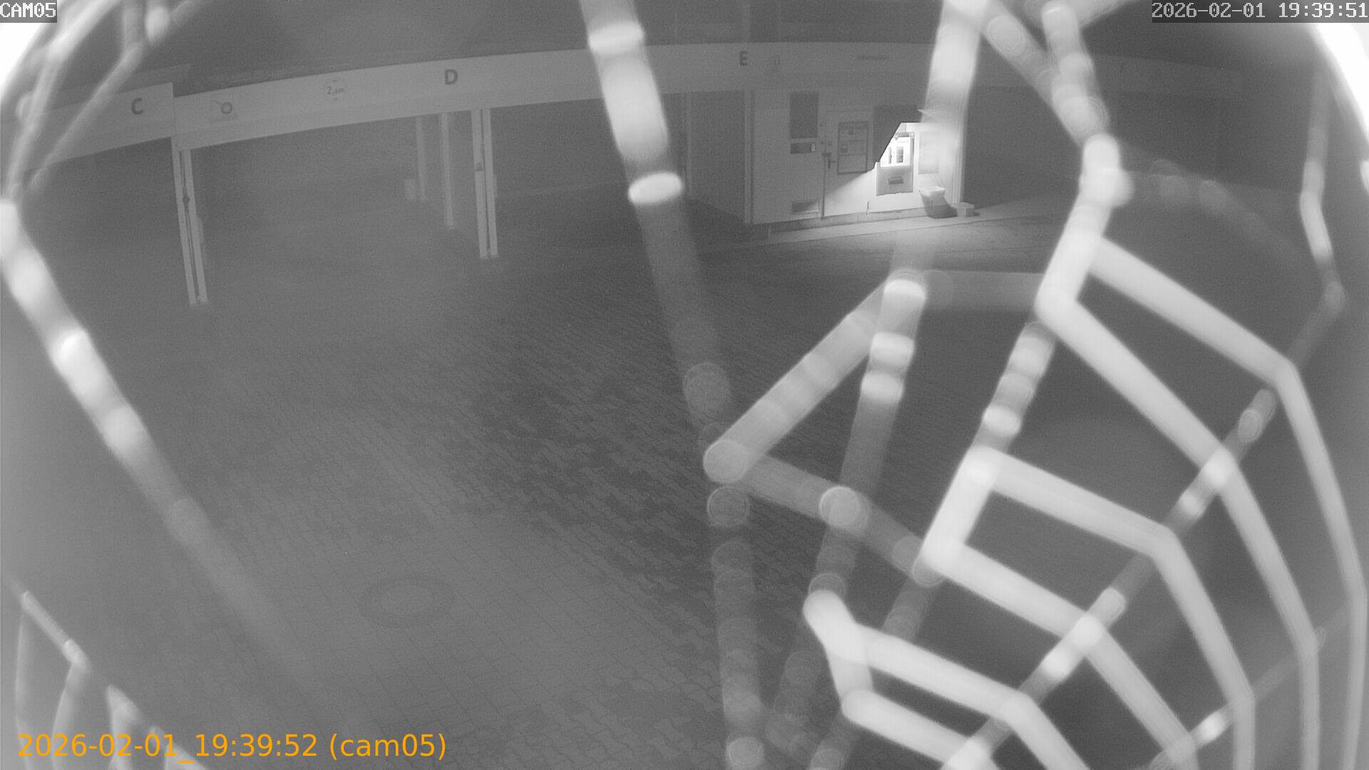 thumbnail_20260201193952