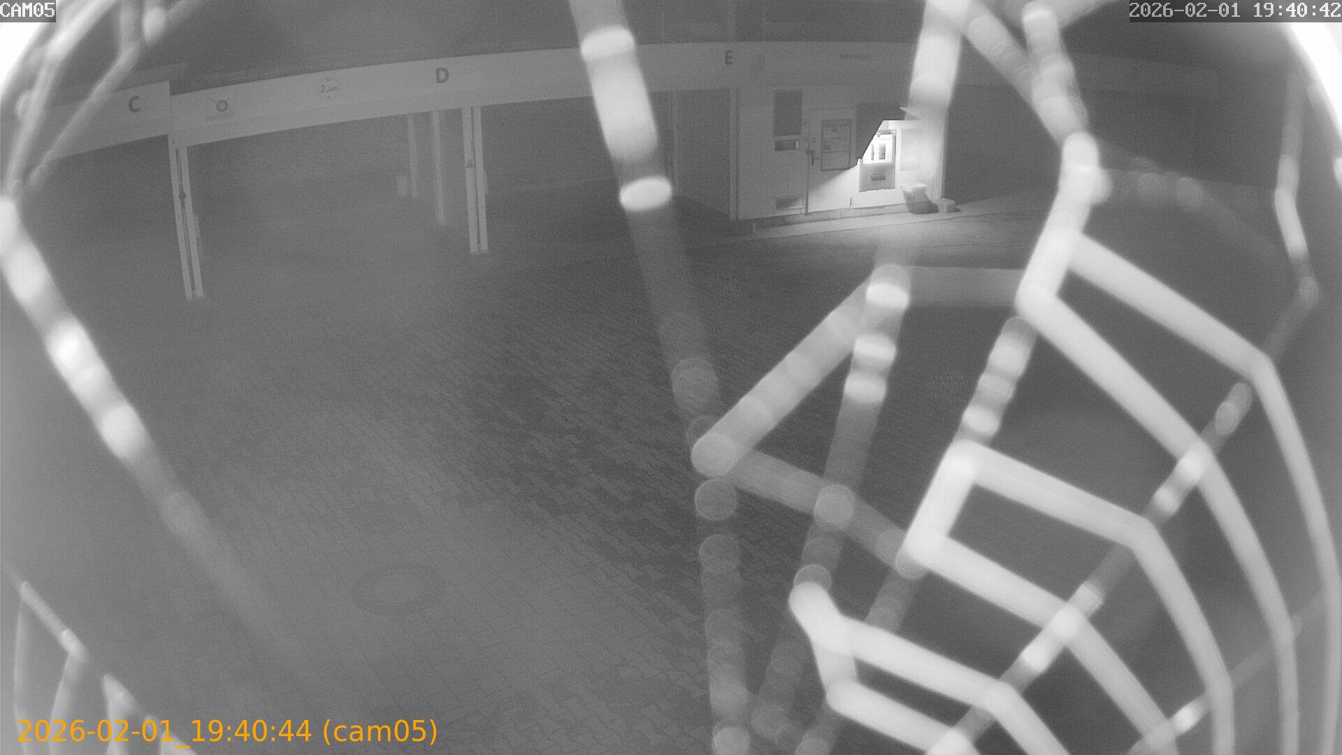 thumbnail_20260201194044