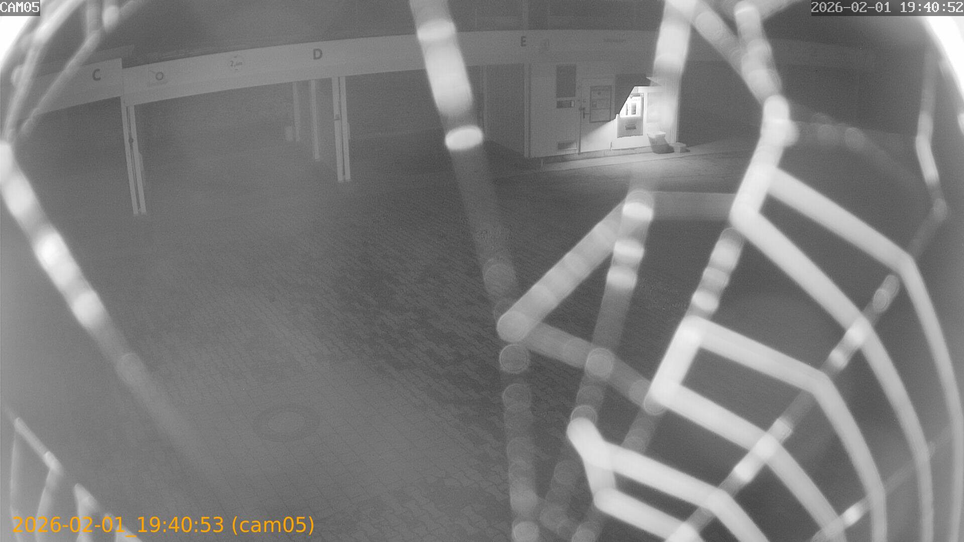 thumbnail_20260201194053