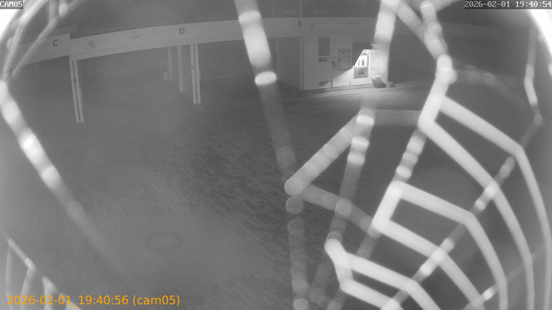 thumbnail_20260201194056