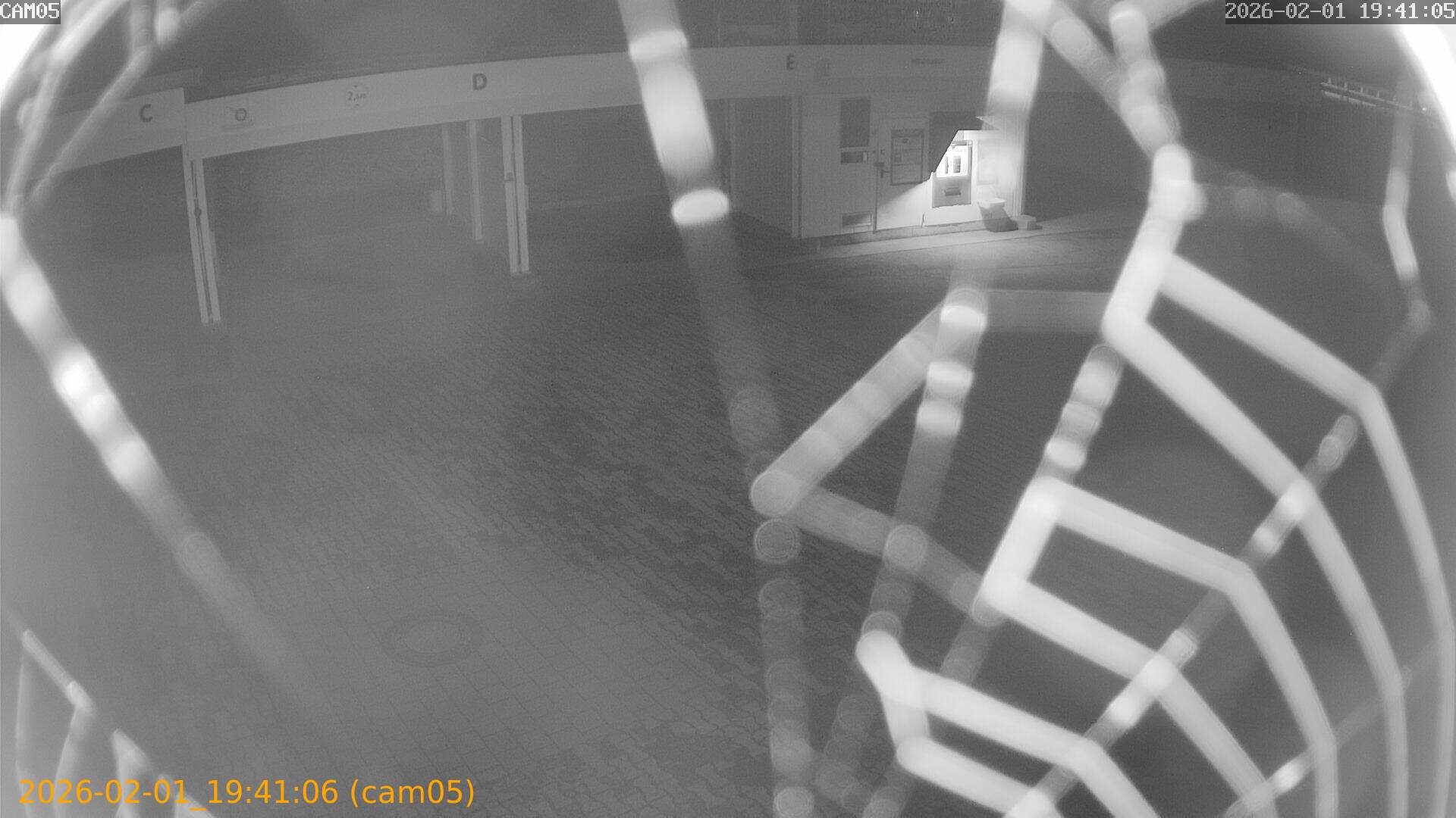 thumbnail_20260201194106