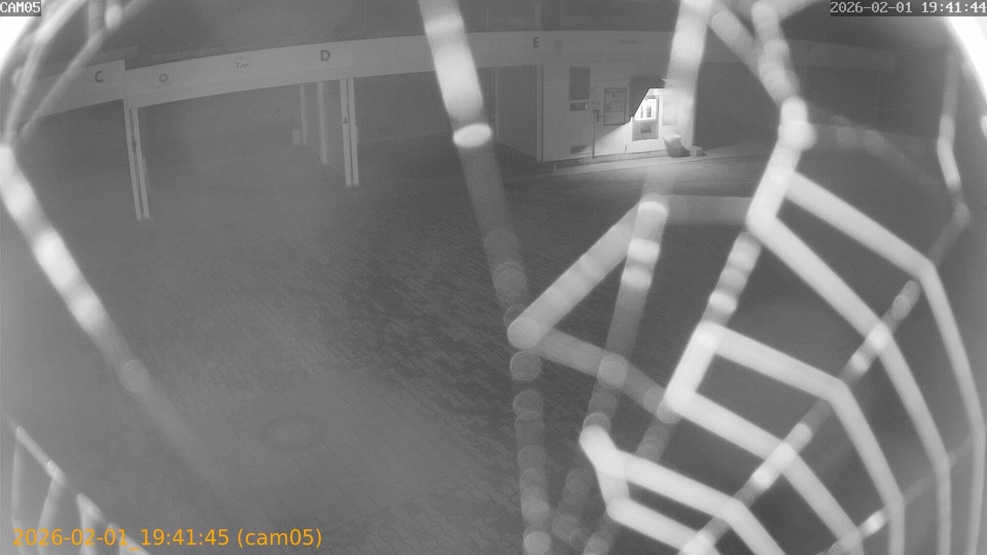 thumbnail_20260201194145