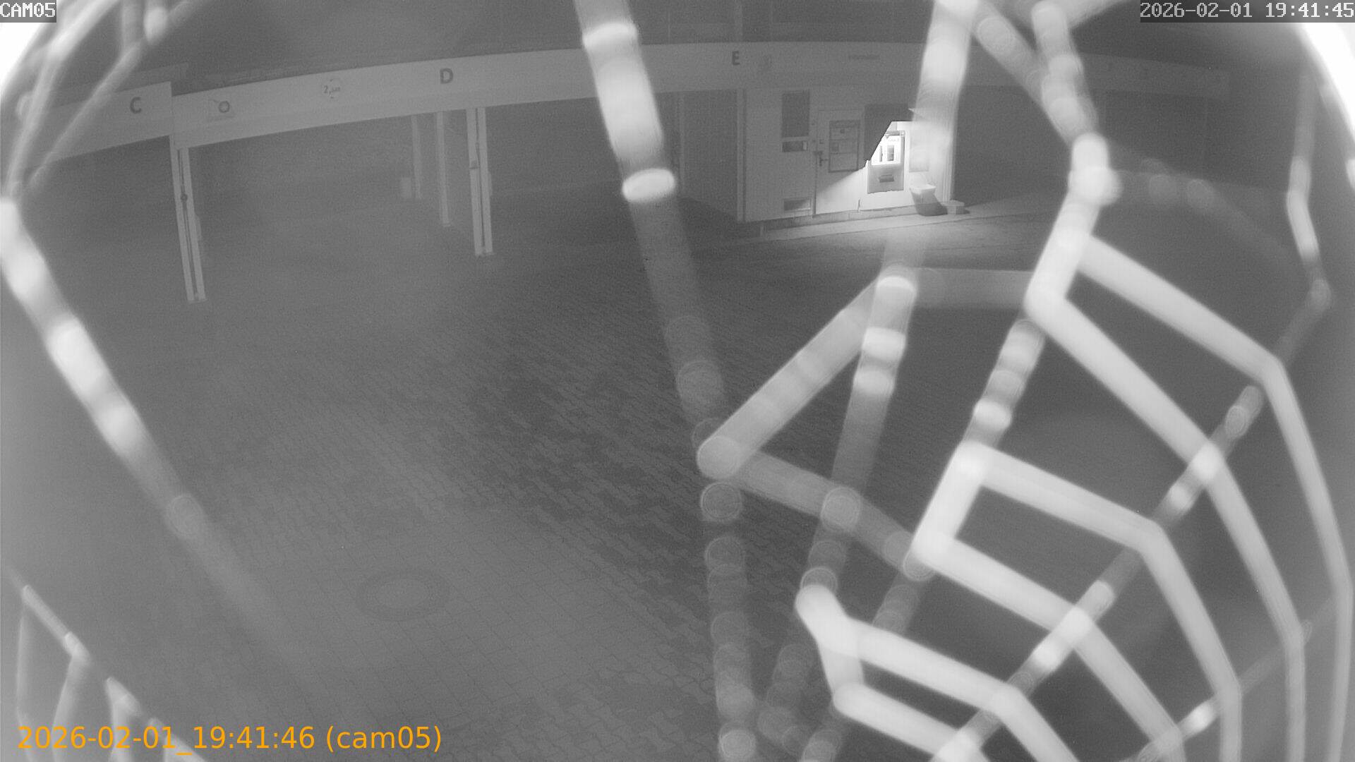 thumbnail_20260201194146