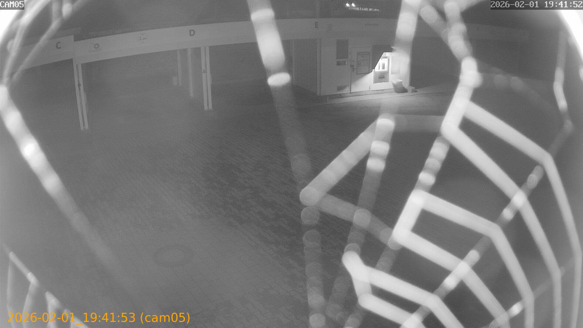 thumbnail_20260201194153