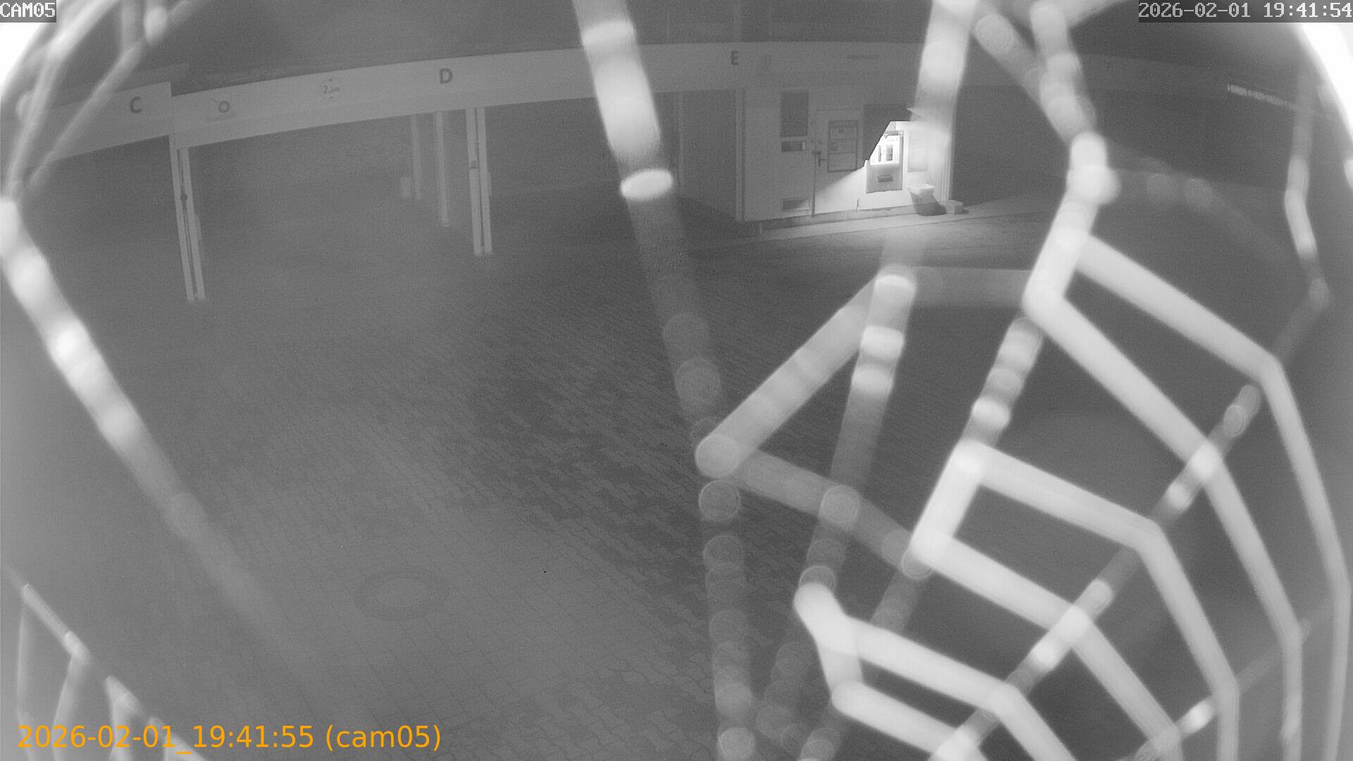 thumbnail_20260201194155