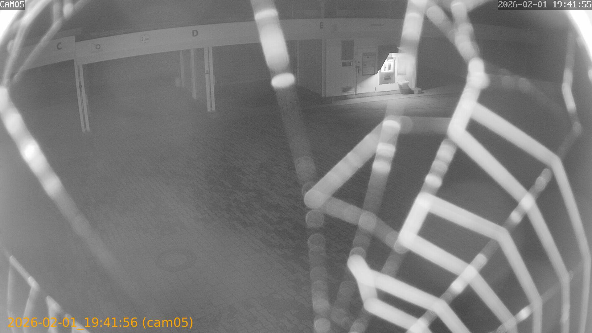 thumbnail_20260201194156