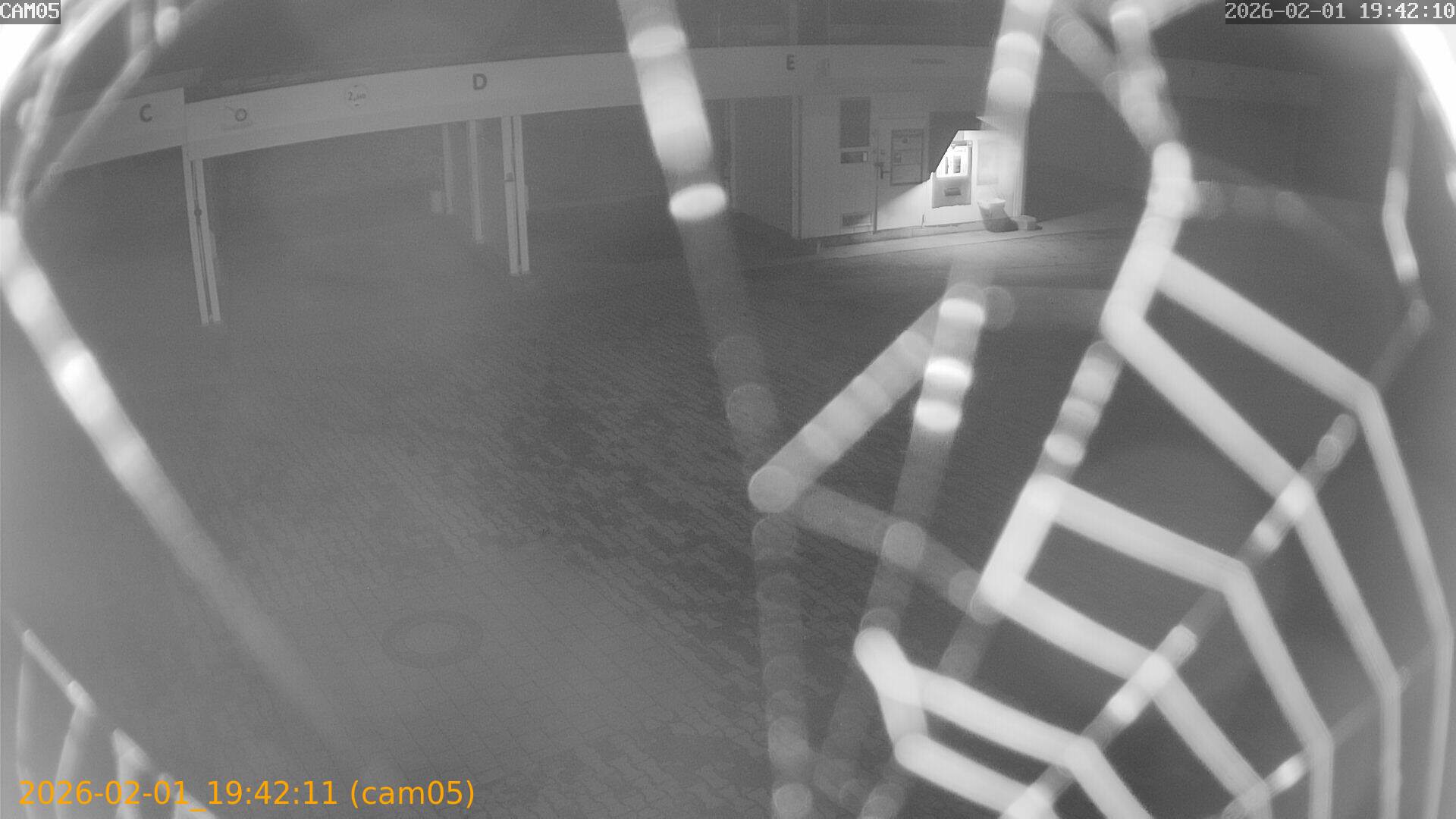 thumbnail_20260201194211