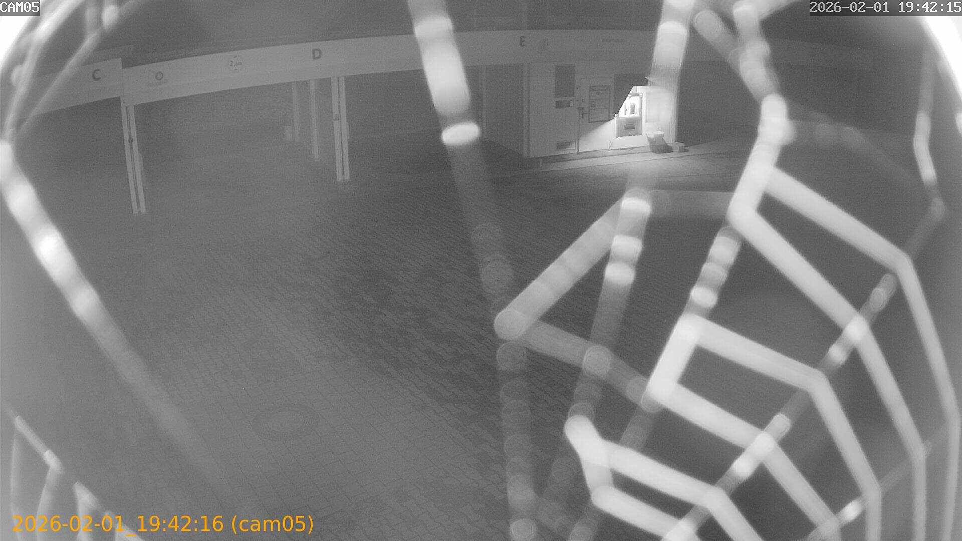 thumbnail_20260201194216