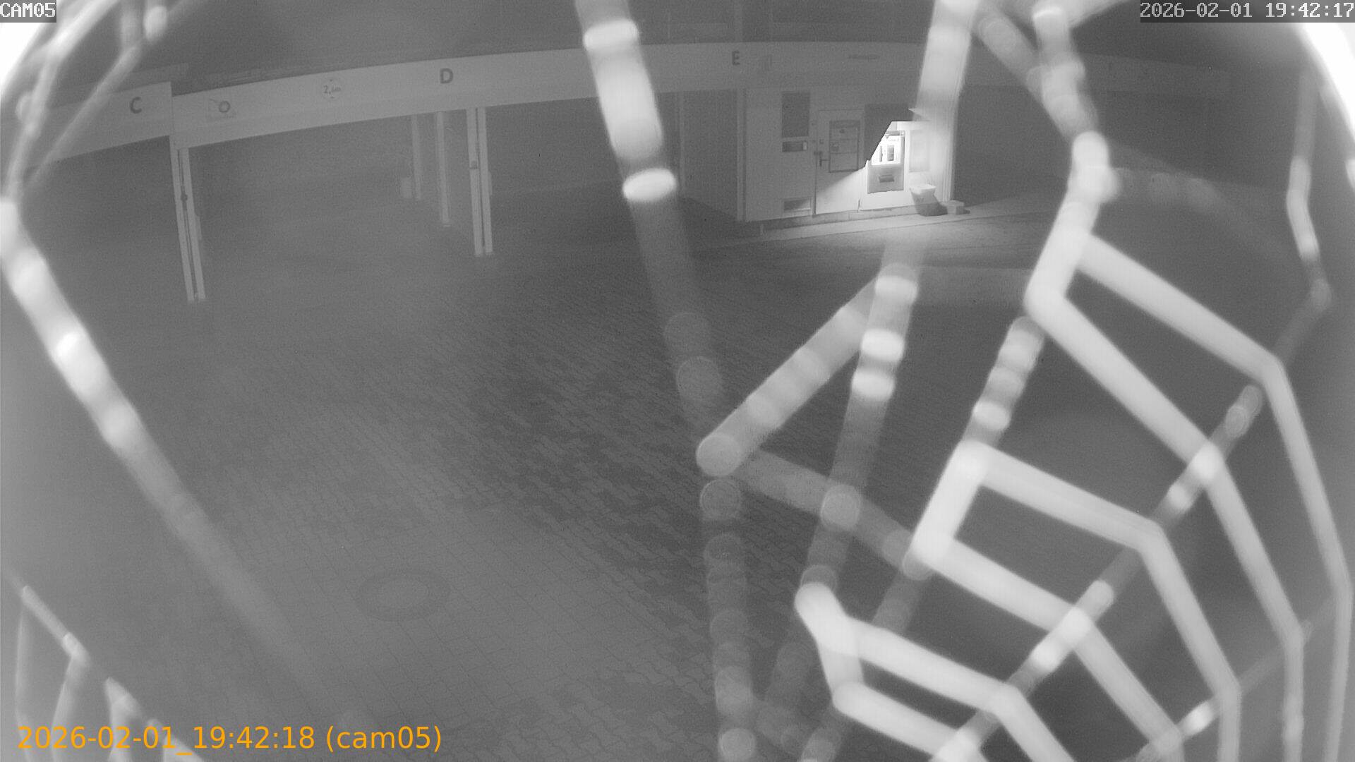 thumbnail_20260201194218