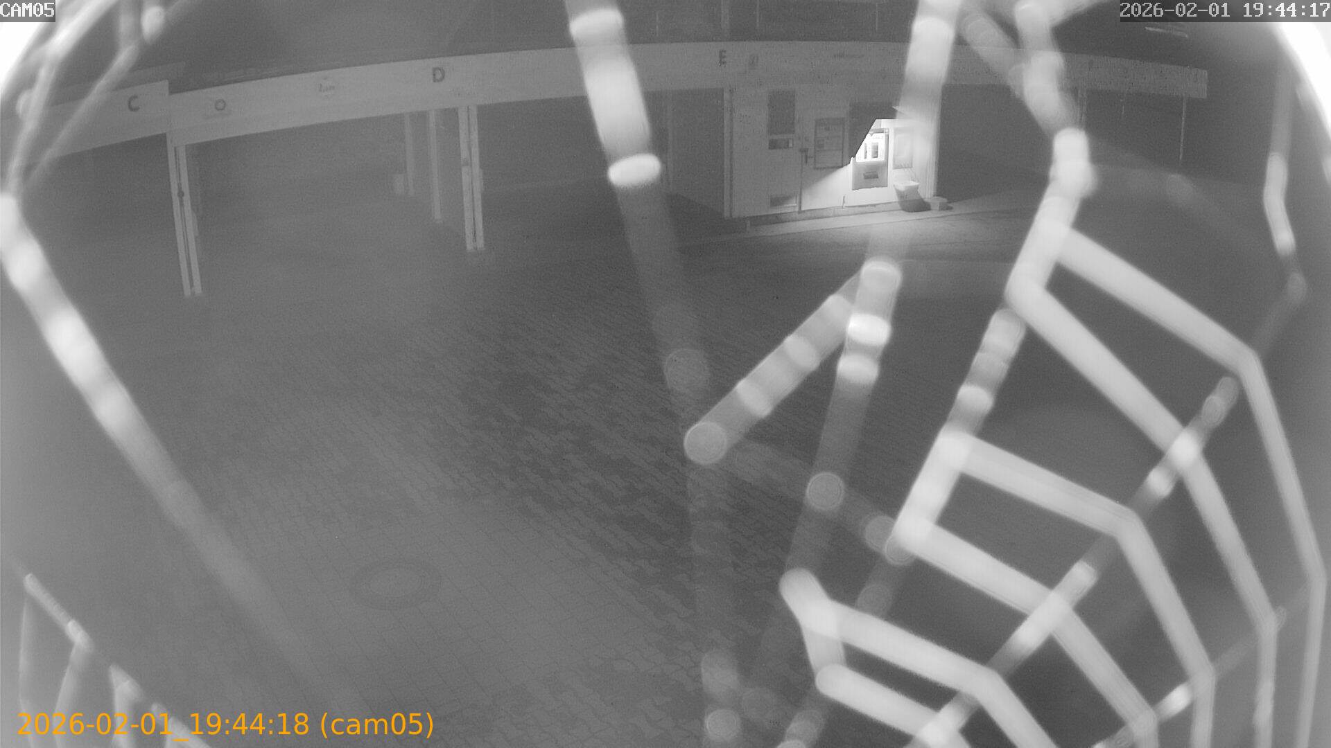 thumbnail_20260201194418