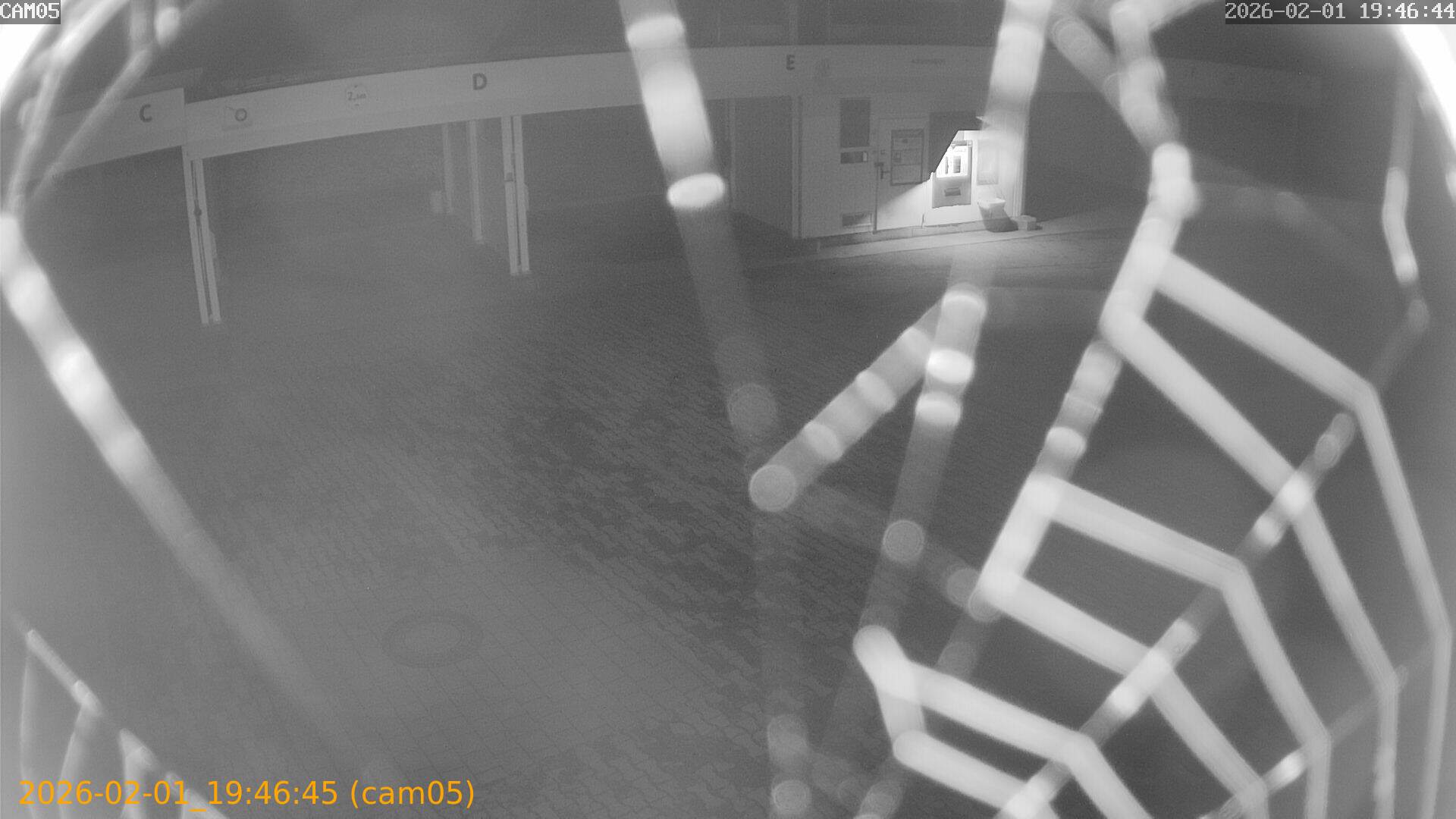 thumbnail_20260201194645