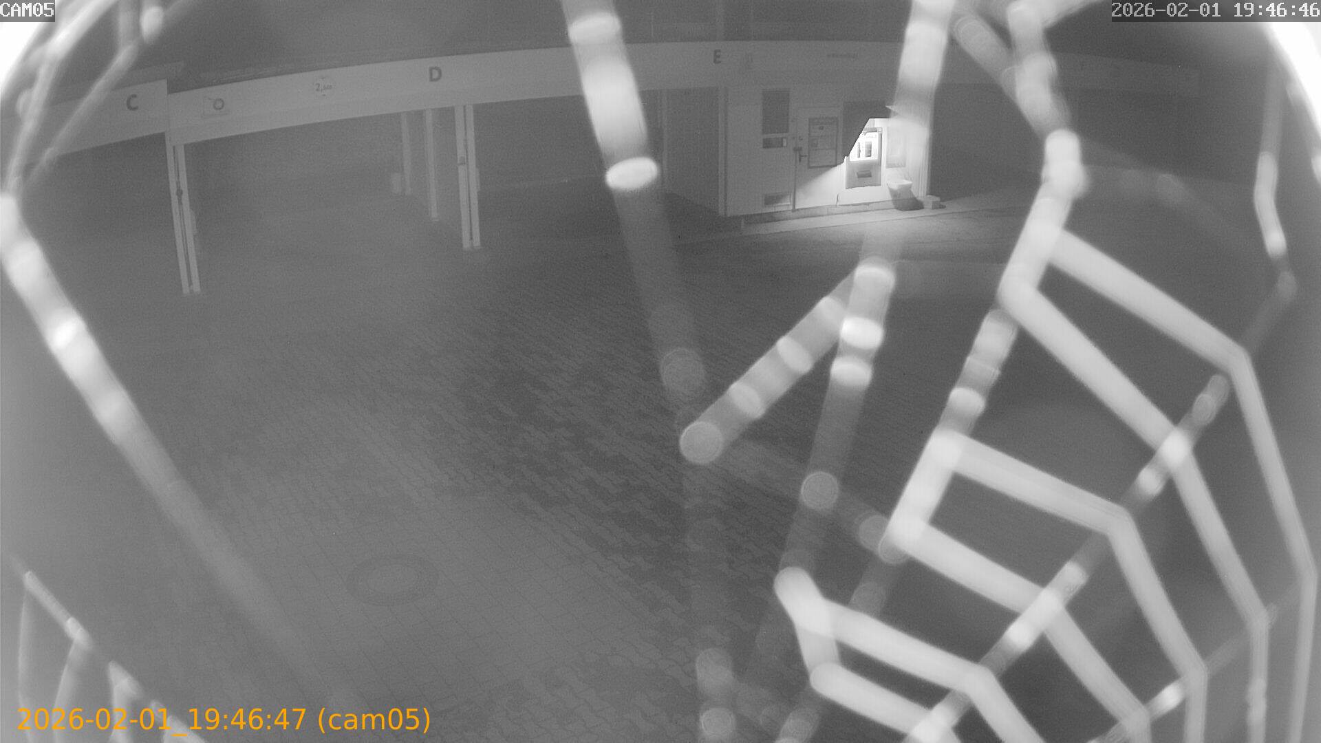 thumbnail_20260201194647