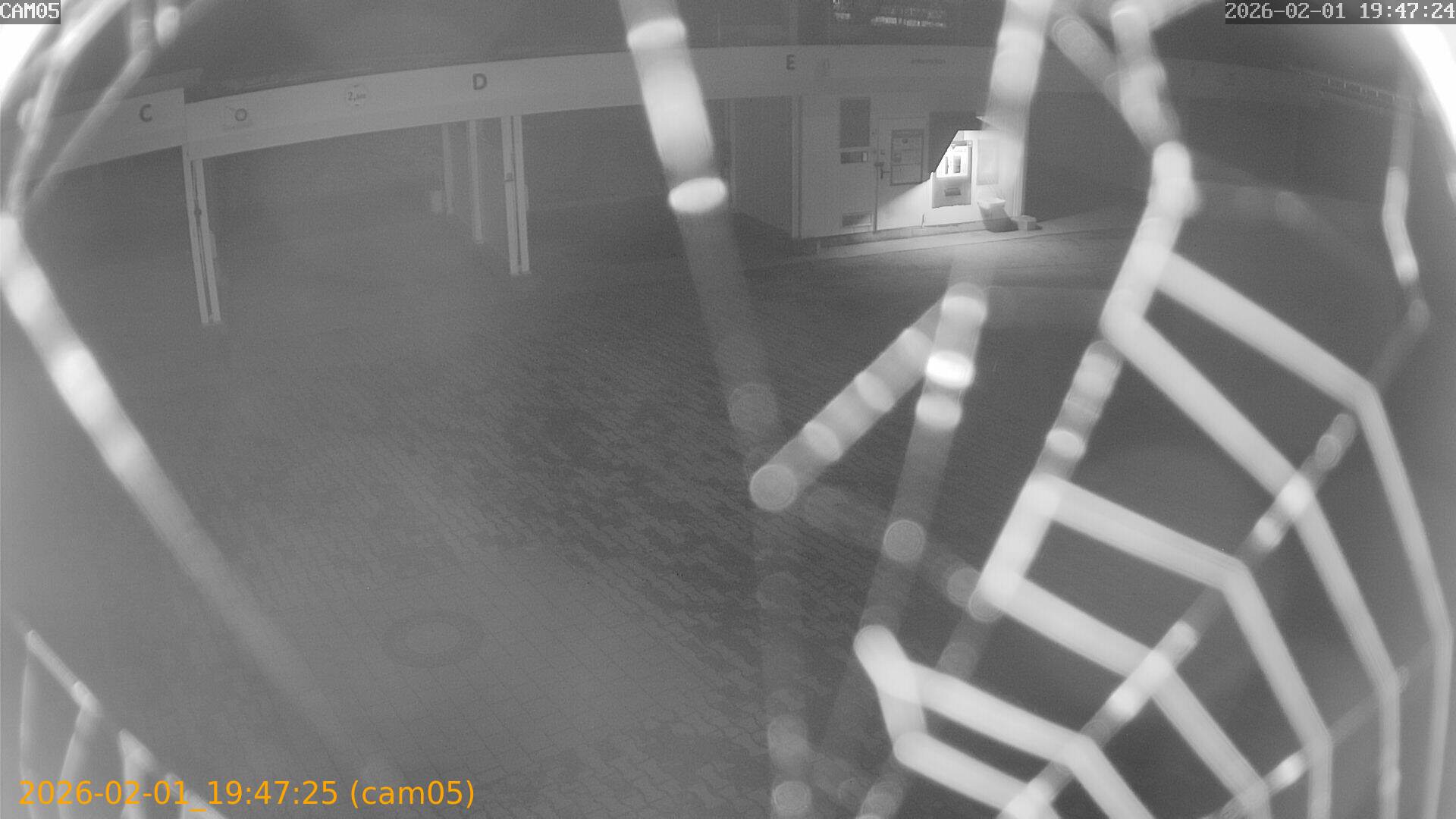 thumbnail_20260201194725