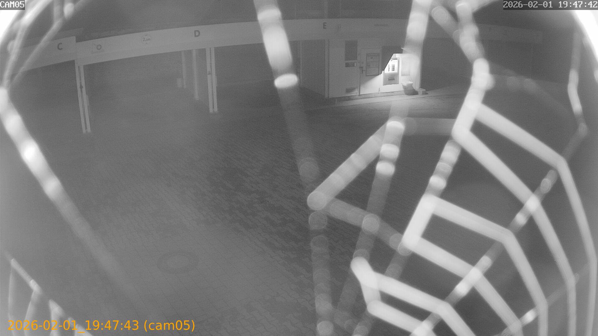 thumbnail_20260201194743