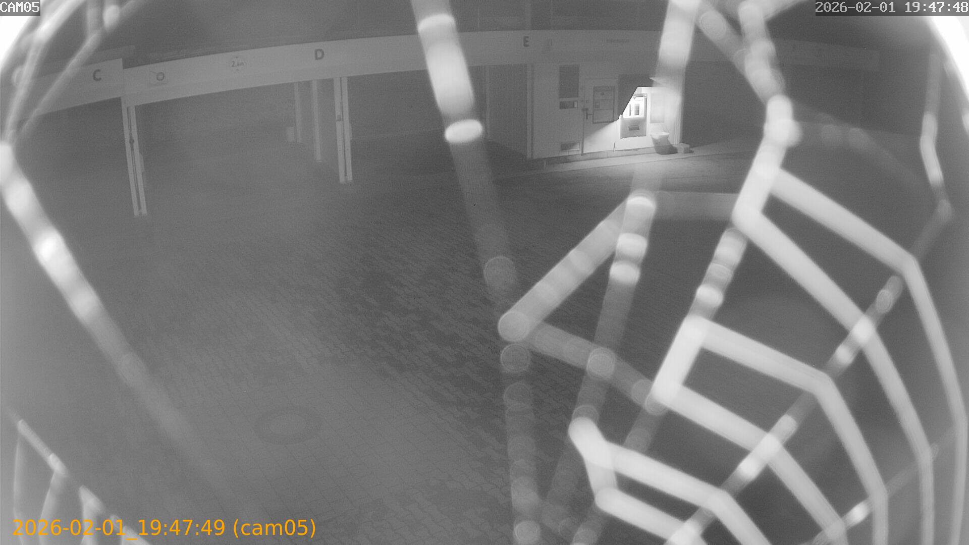 thumbnail_20260201194749