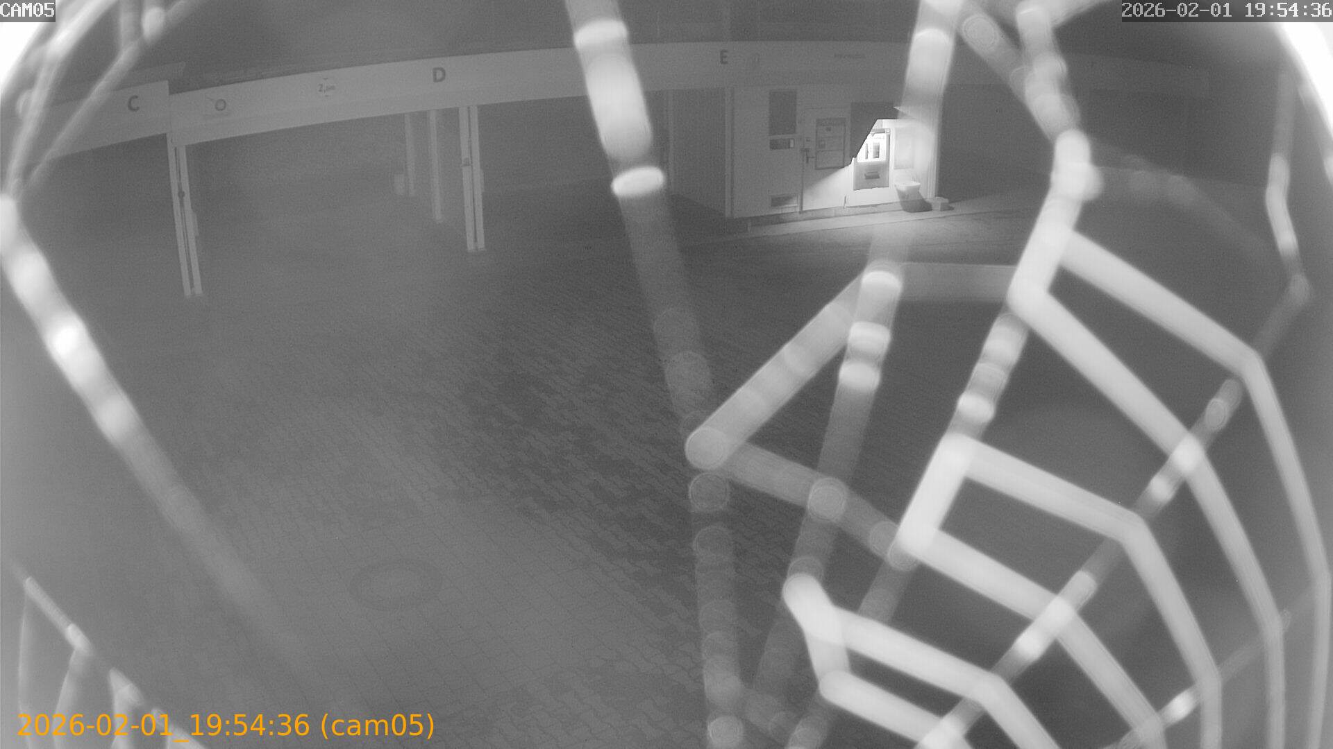 thumbnail_20260201195436