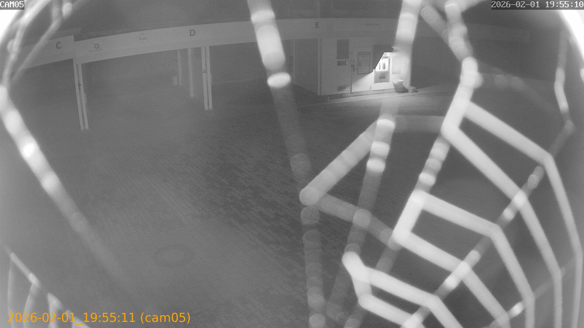 thumbnail_20260201195511