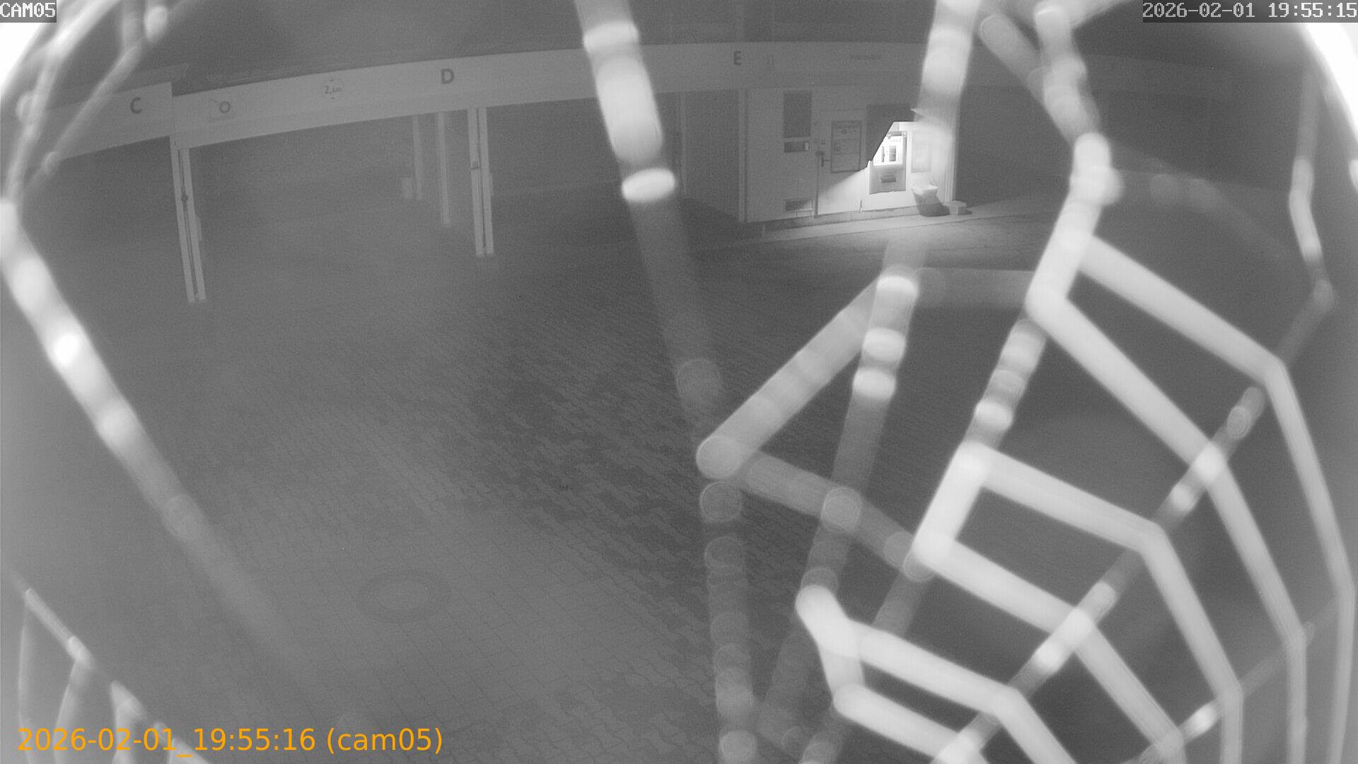 thumbnail_20260201195516