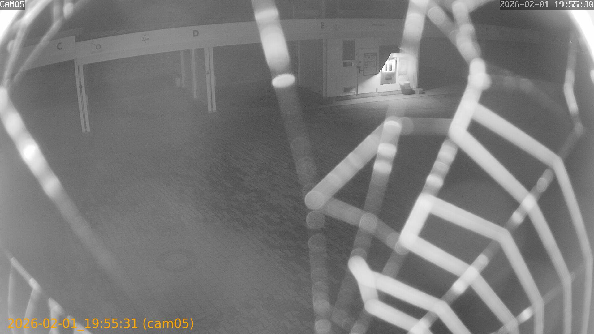 thumbnail_20260201195531