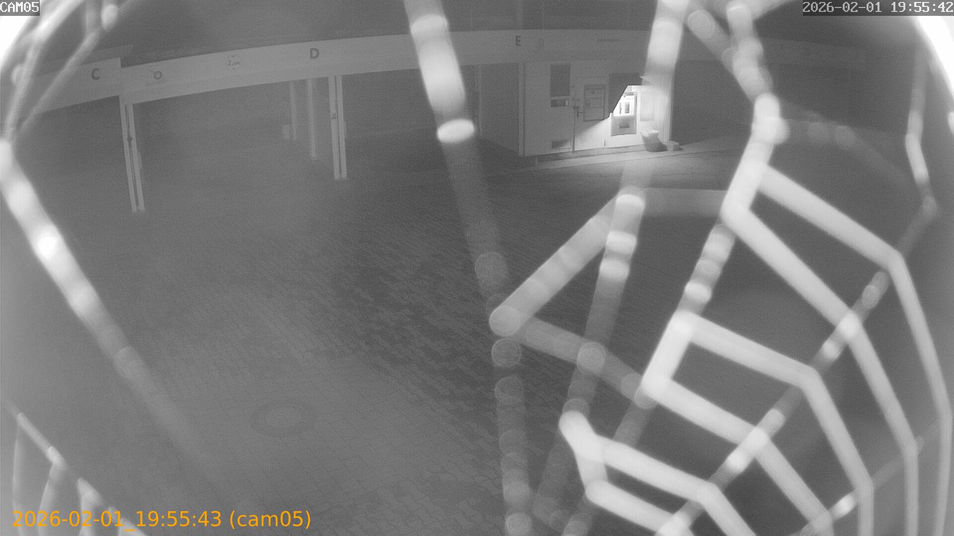 thumbnail_20260201195543