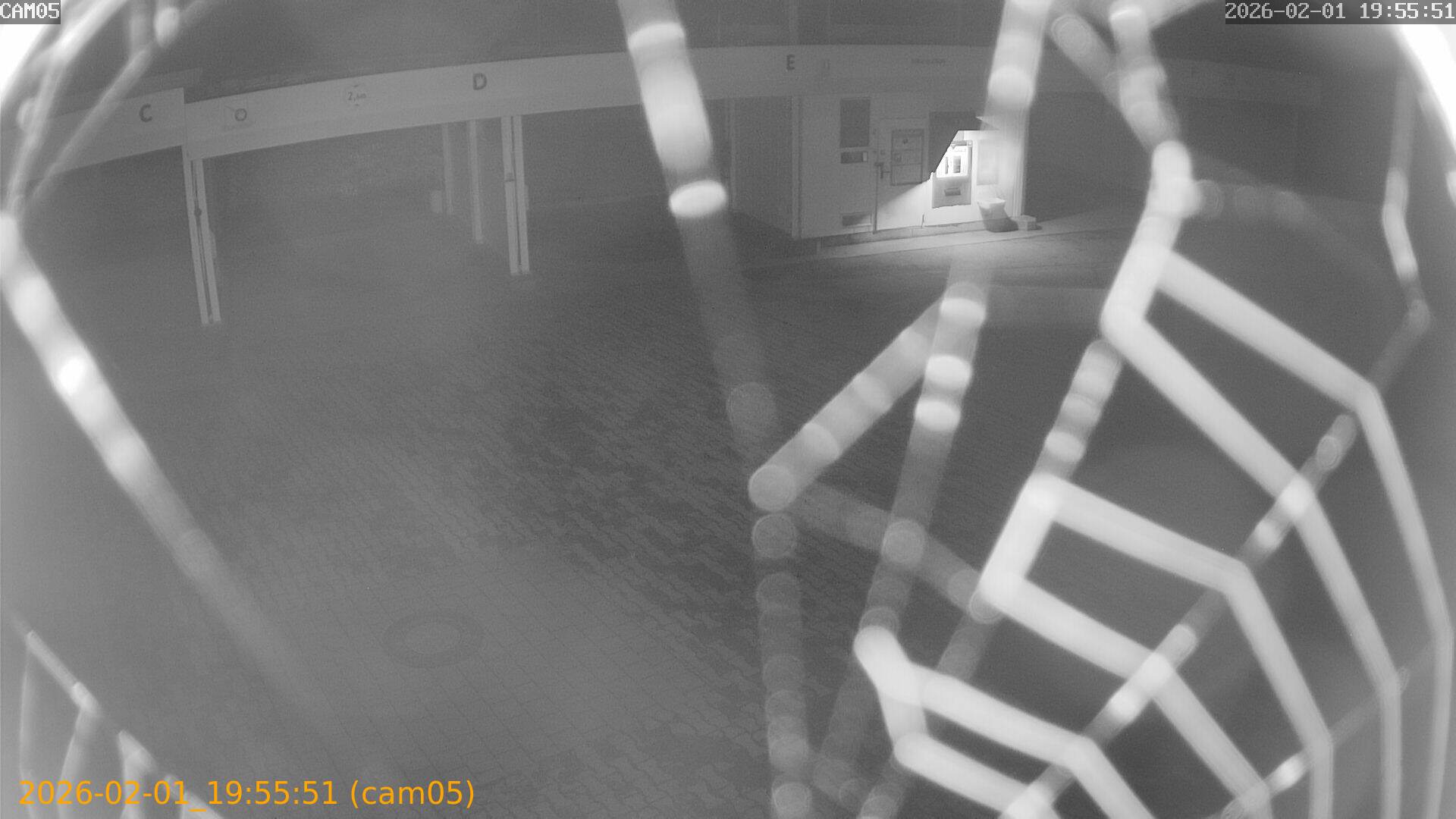 thumbnail_20260201195551