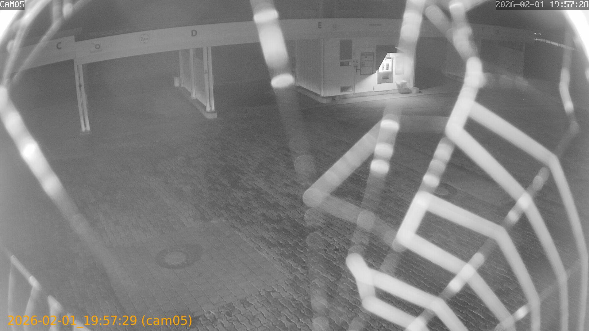 thumbnail_20260201195729