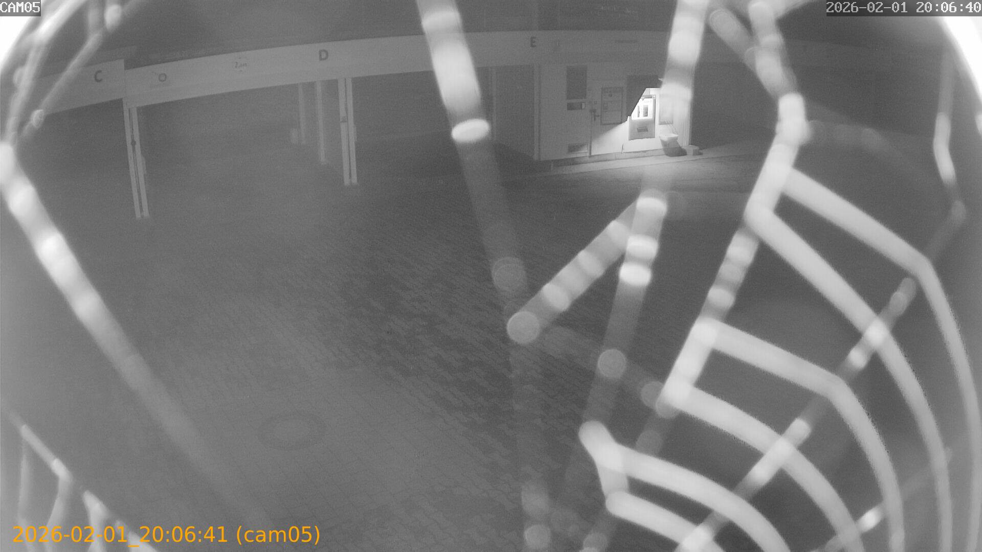 thumbnail_20260201200641