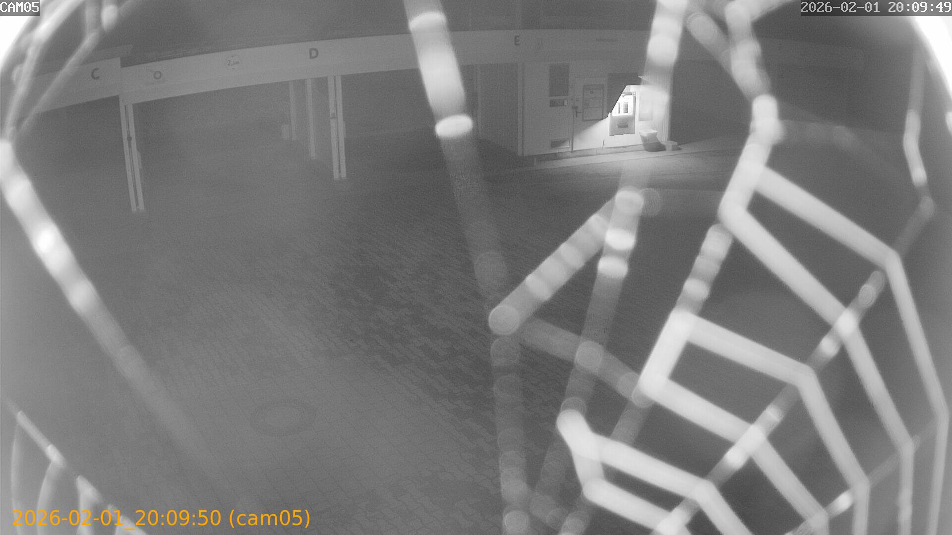 thumbnail_20260201200950