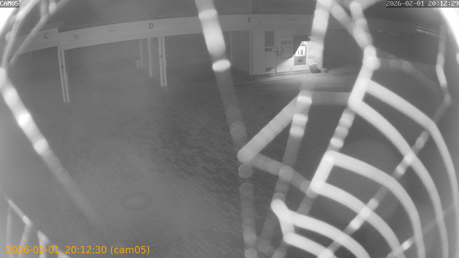 thumbnail_20260201201230