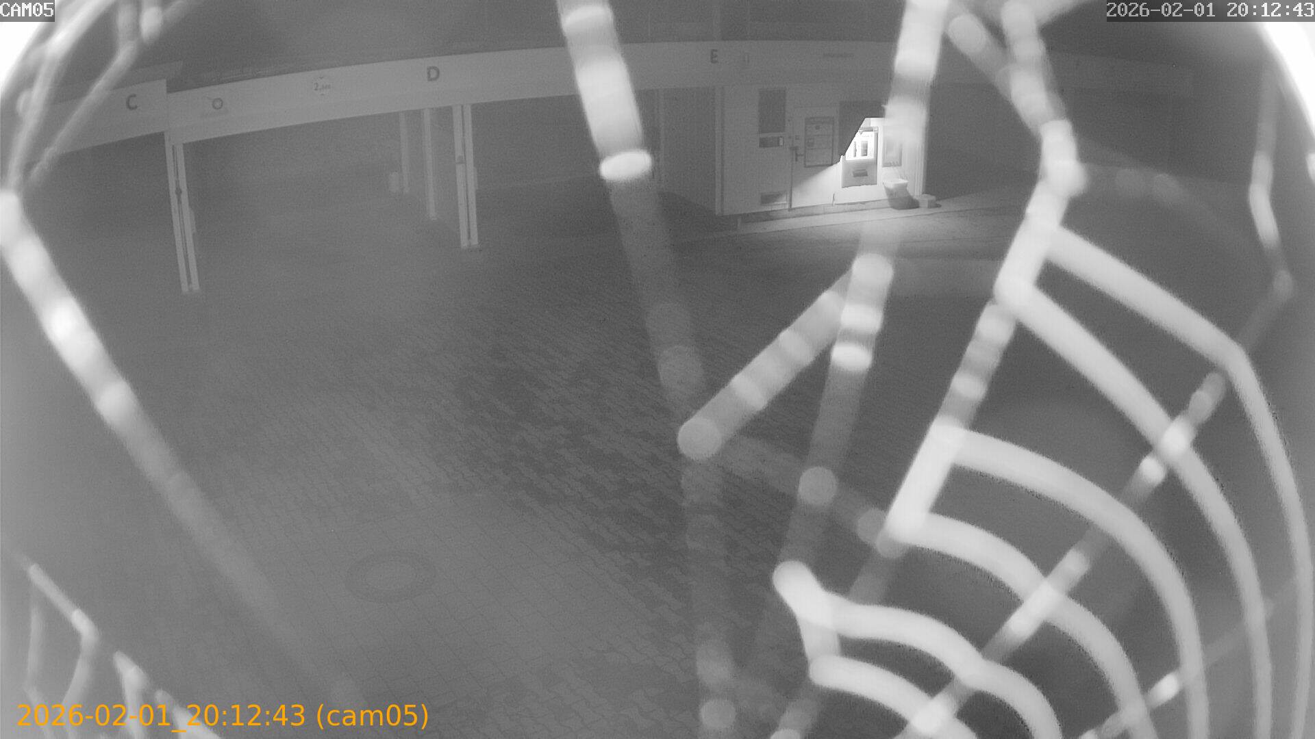 thumbnail_20260201201243