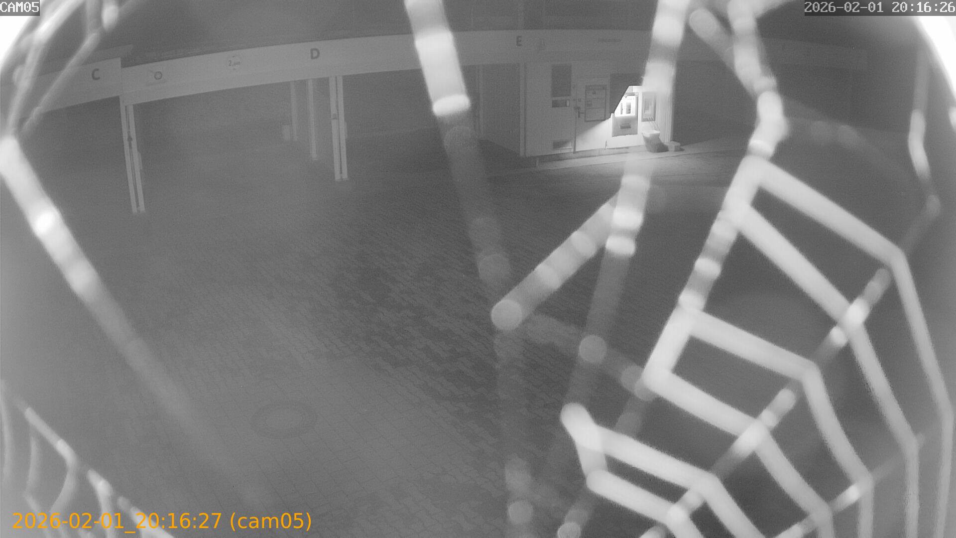 thumbnail_20260201201627