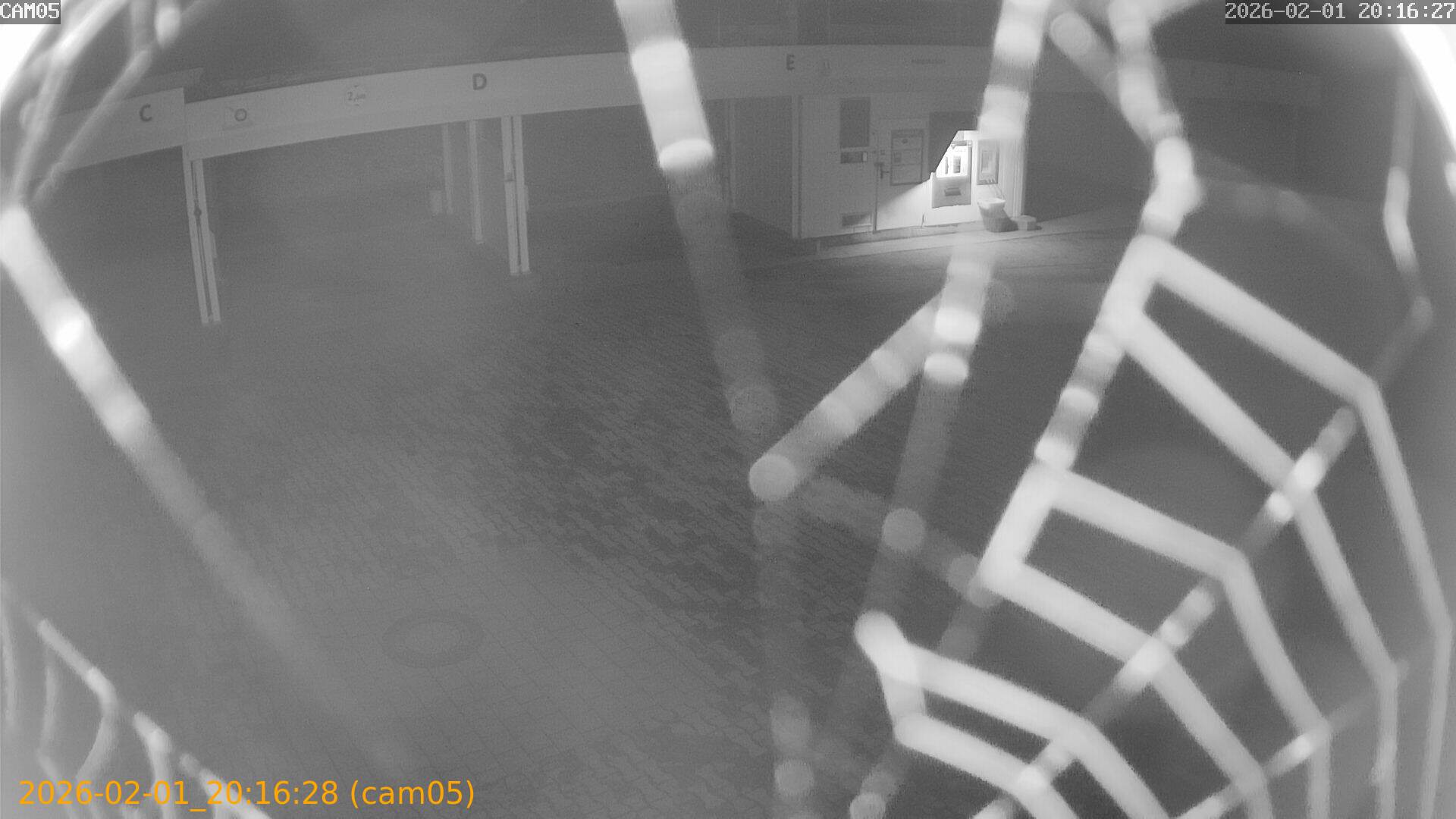 thumbnail_20260201201628