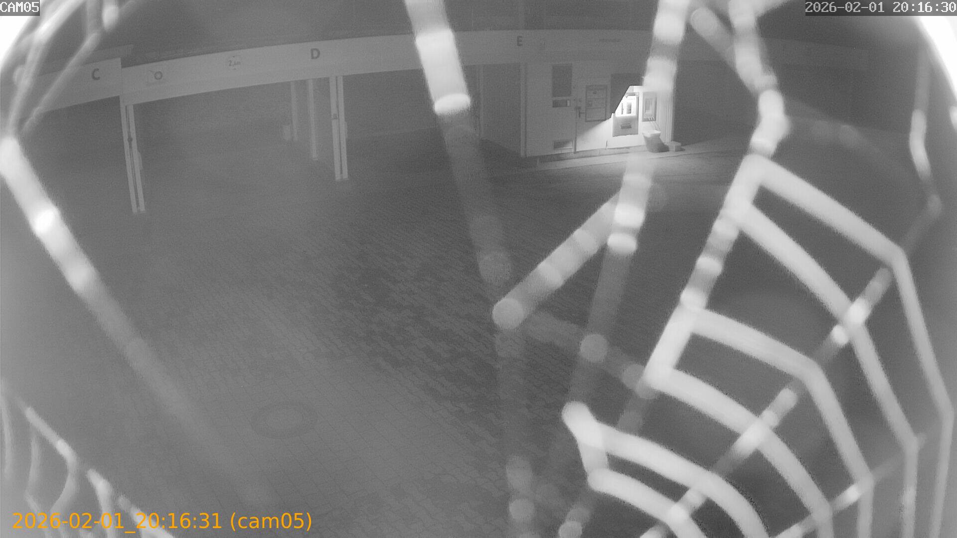 thumbnail_20260201201631