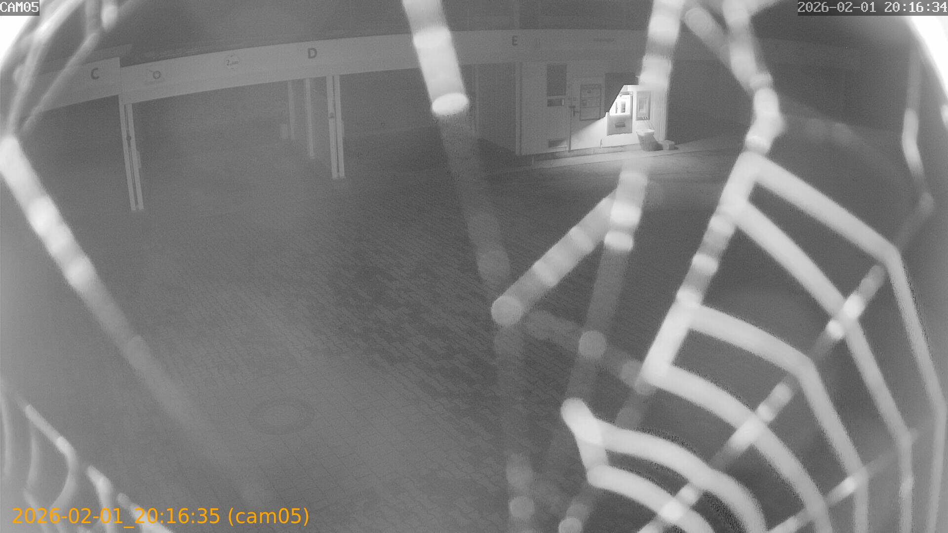 thumbnail_20260201201635