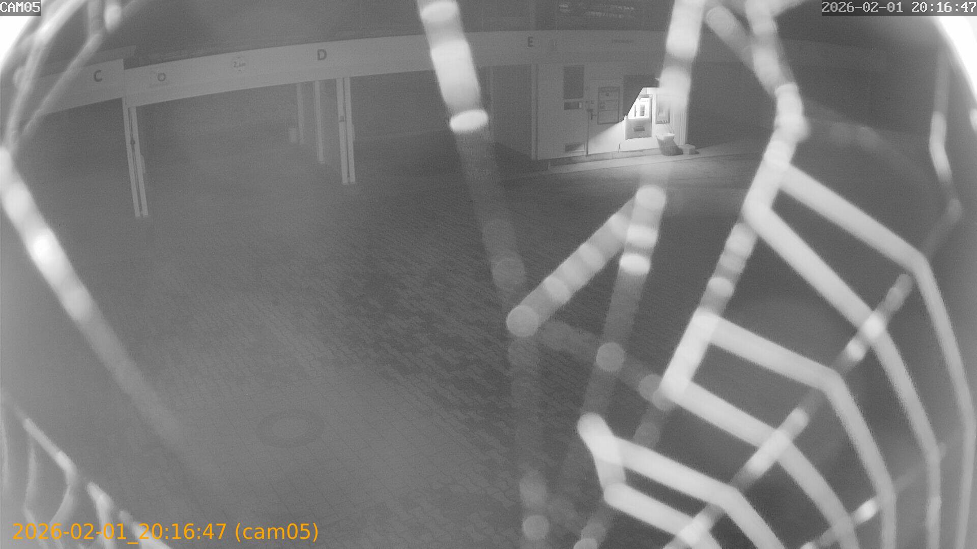 thumbnail_20260201201647