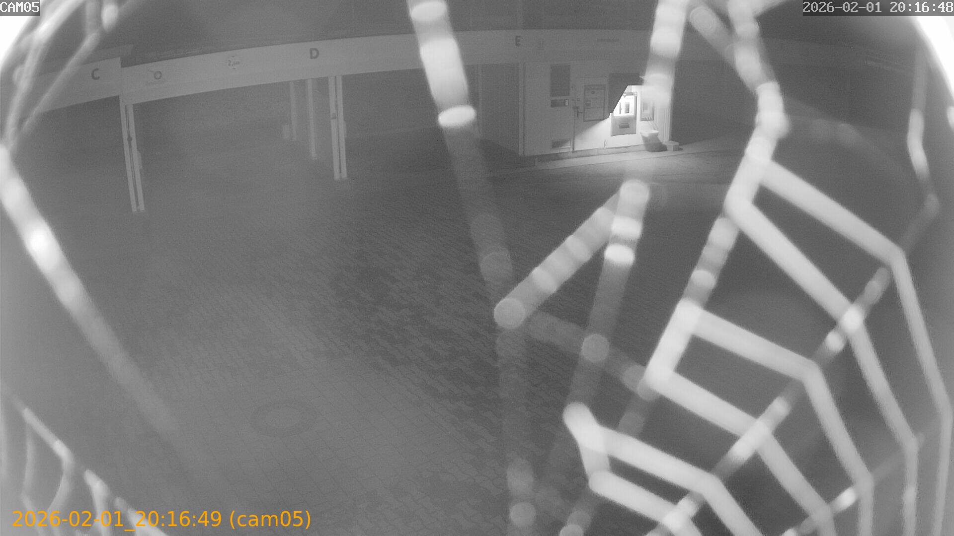 thumbnail_20260201201649