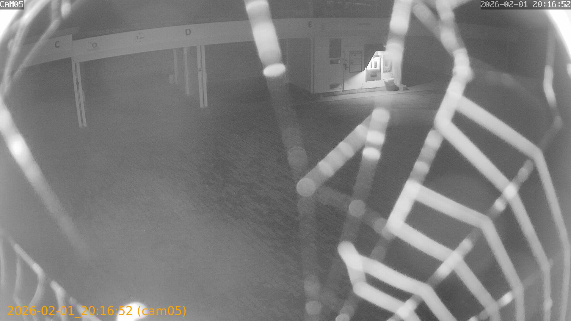 thumbnail_20260201201652