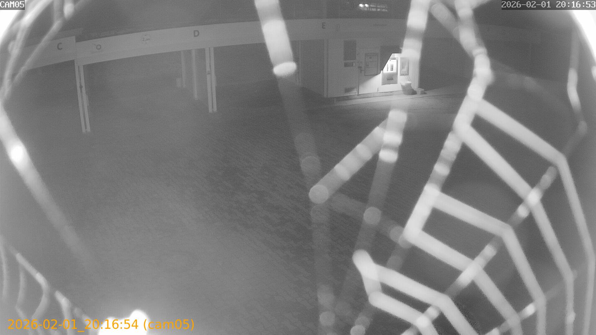 thumbnail_20260201201654