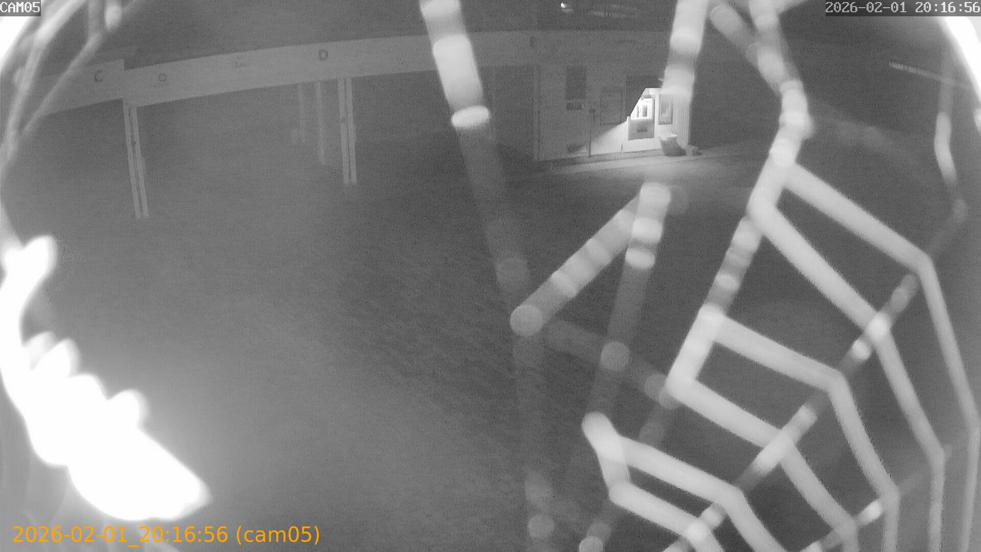 thumbnail_20260201201656