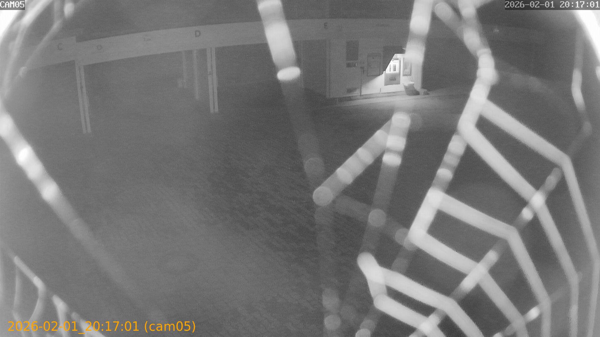 thumbnail_20260201201701